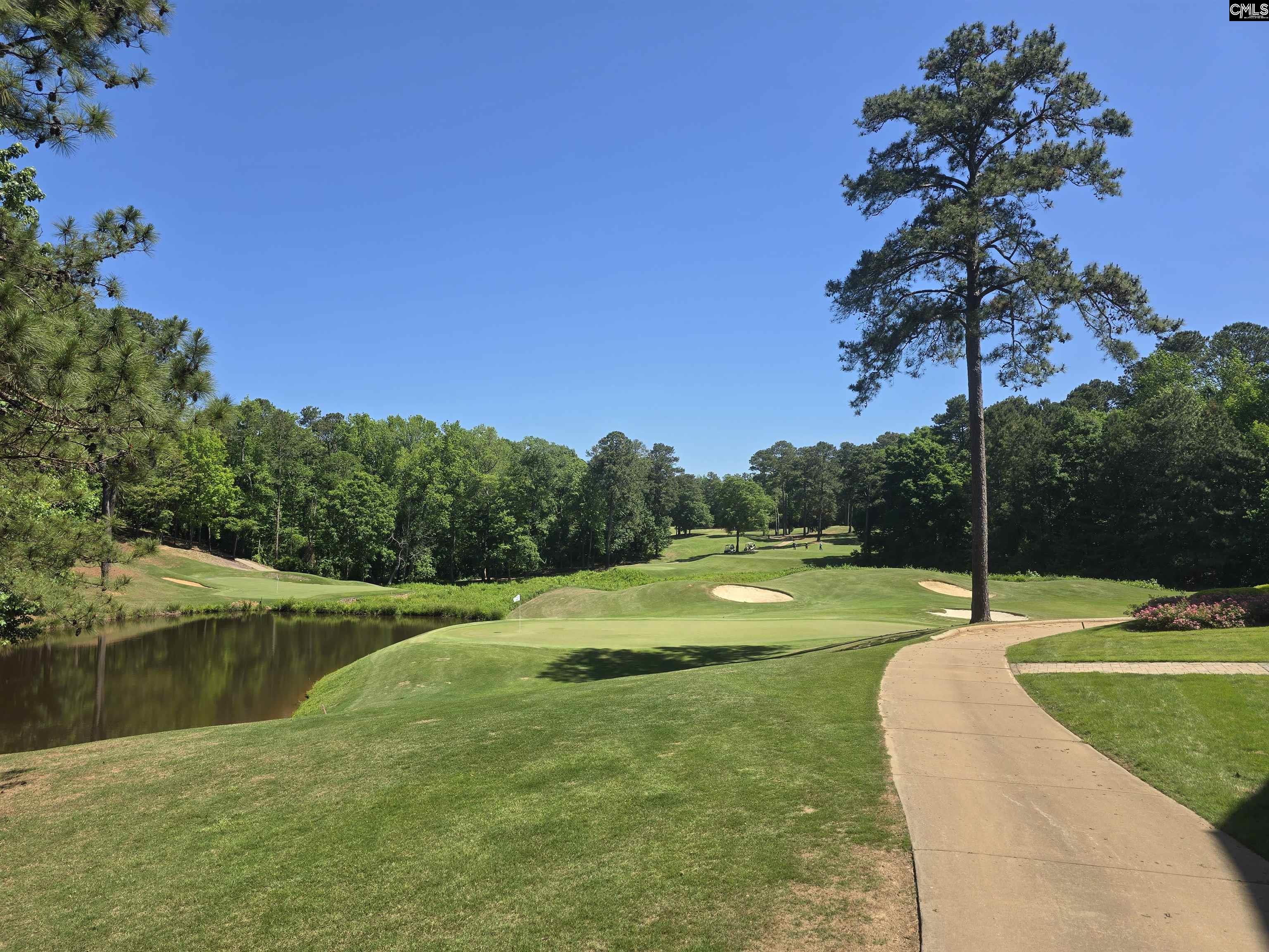 726 Carolina Aster Drive Blythewood, SC 29016