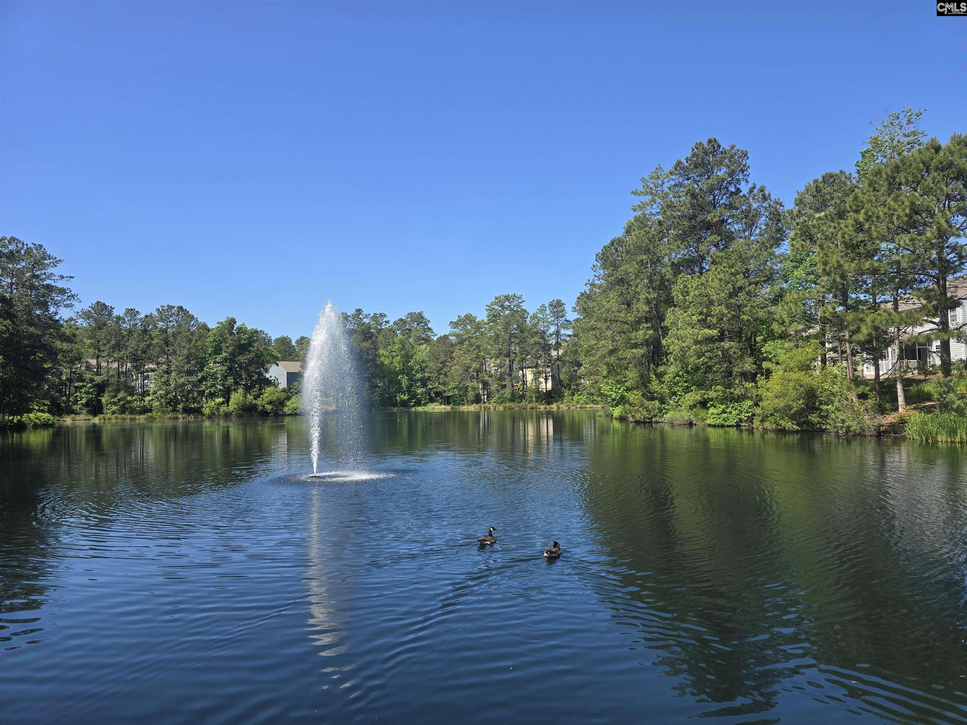 726 Carolina Aster Drive Blythewood, SC 29016