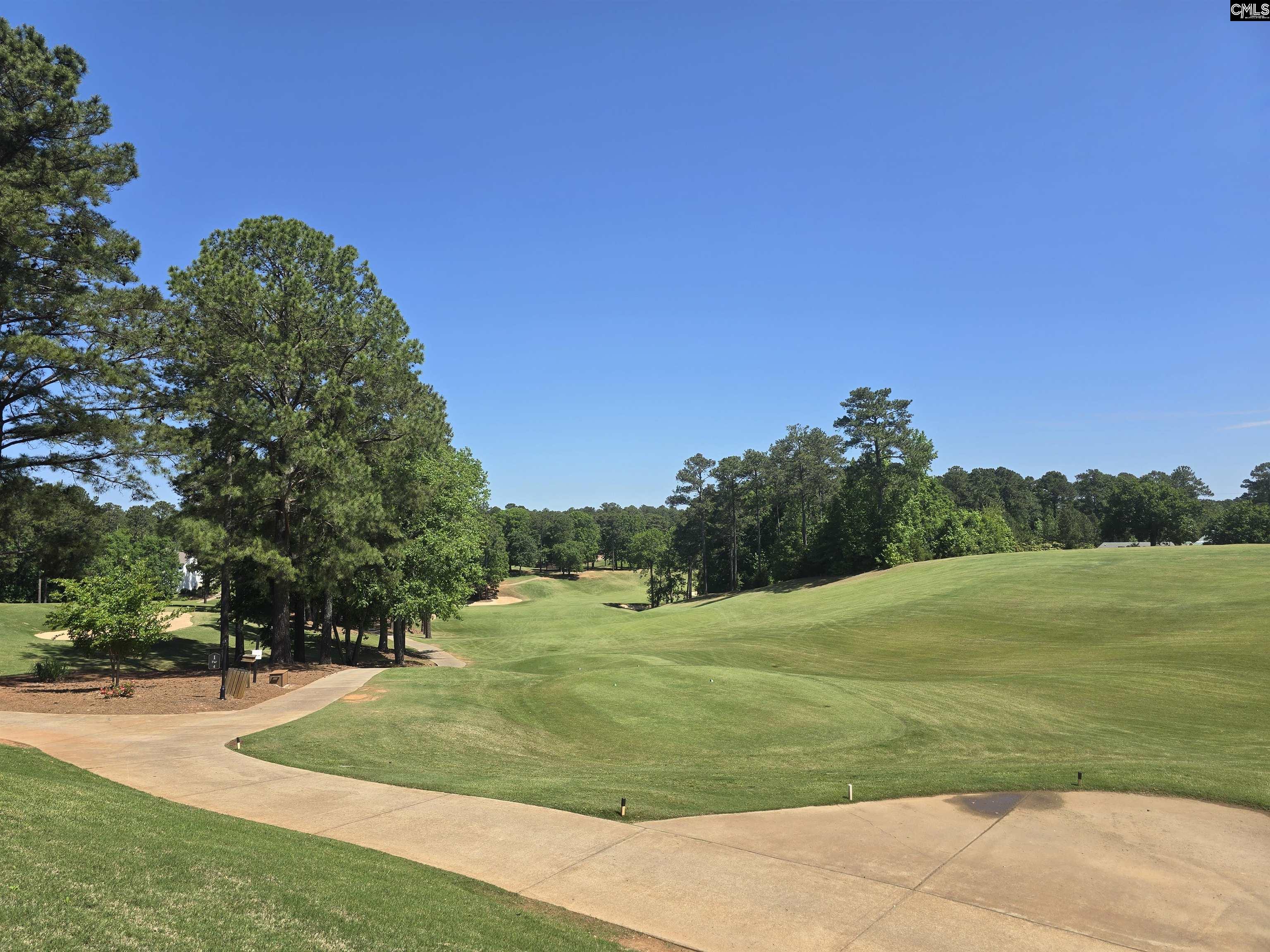 726 Carolina Aster Drive Blythewood, SC 29016