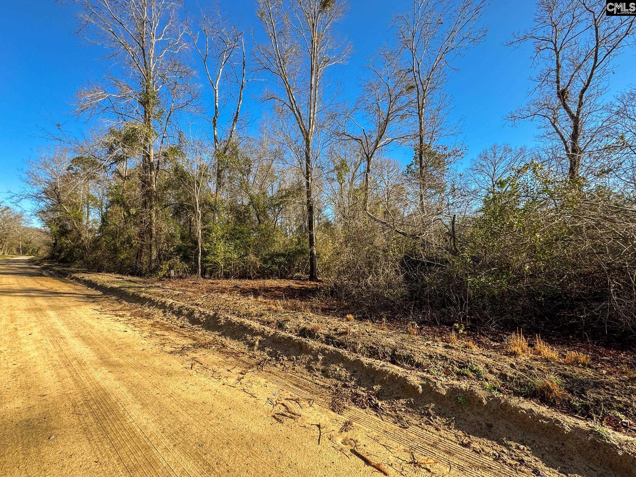 Palomino Road #LOT 3, Leesville, South Carolina image 1