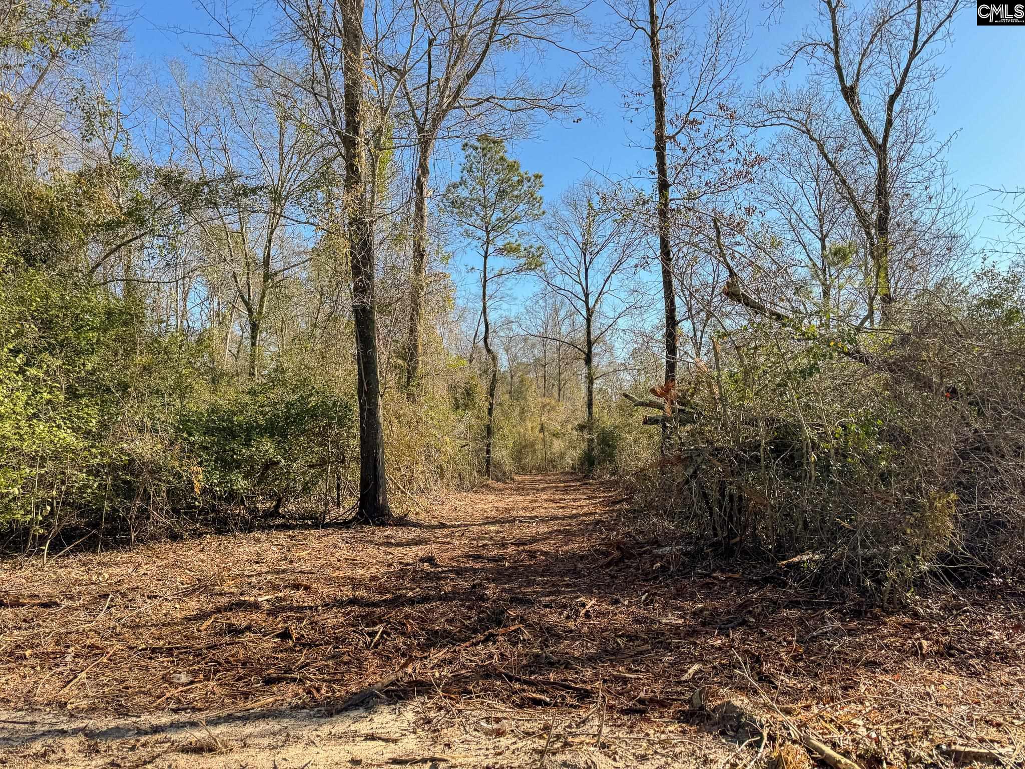 Palomino Road #LOT 3, Leesville, South Carolina image 2