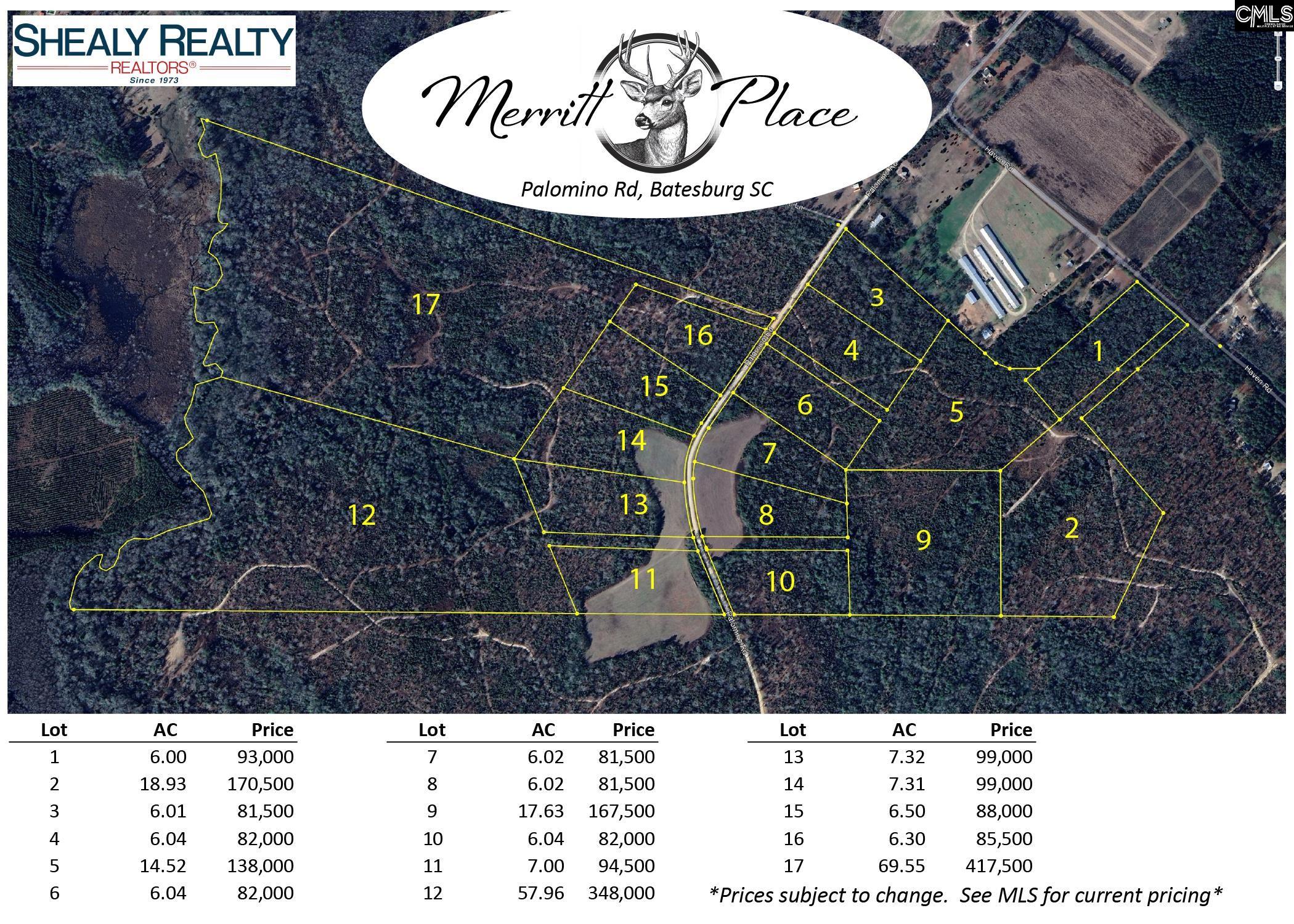 Palomino Road #LOT 3, Leesville, South Carolina image 3