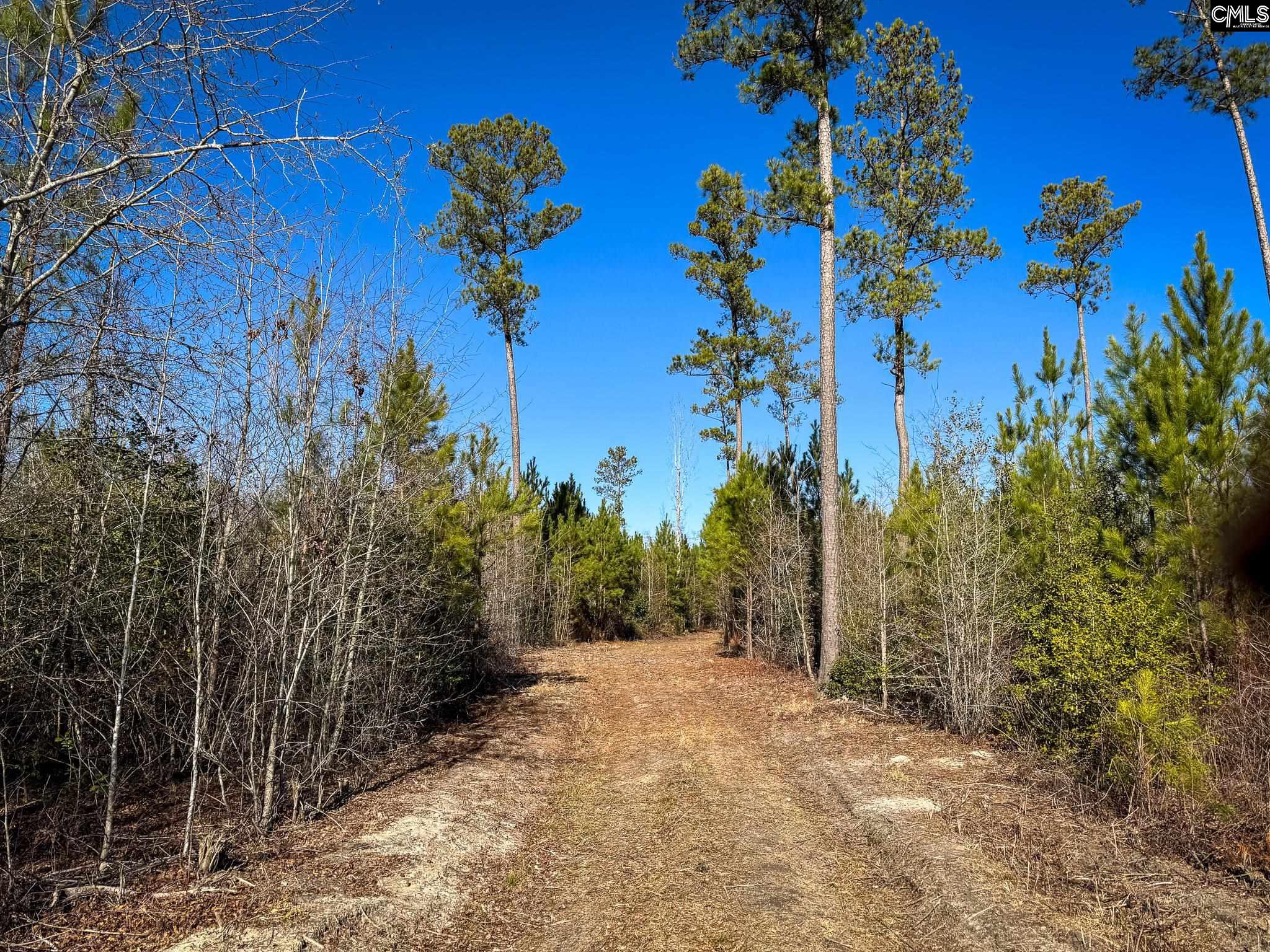 Palomino Road #LOT 3, Leesville, South Carolina image 5