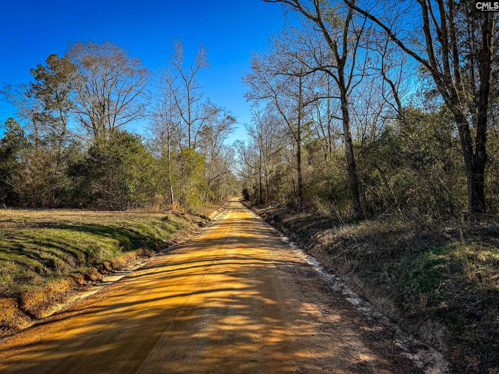 Palomino Road #LOT 3, Leesville, South Carolina image 9