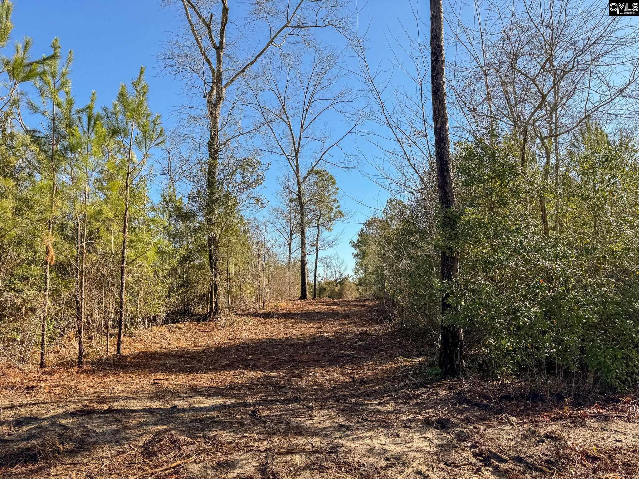 Palomino Road #LOT 4, Leesville, South Carolina image 1