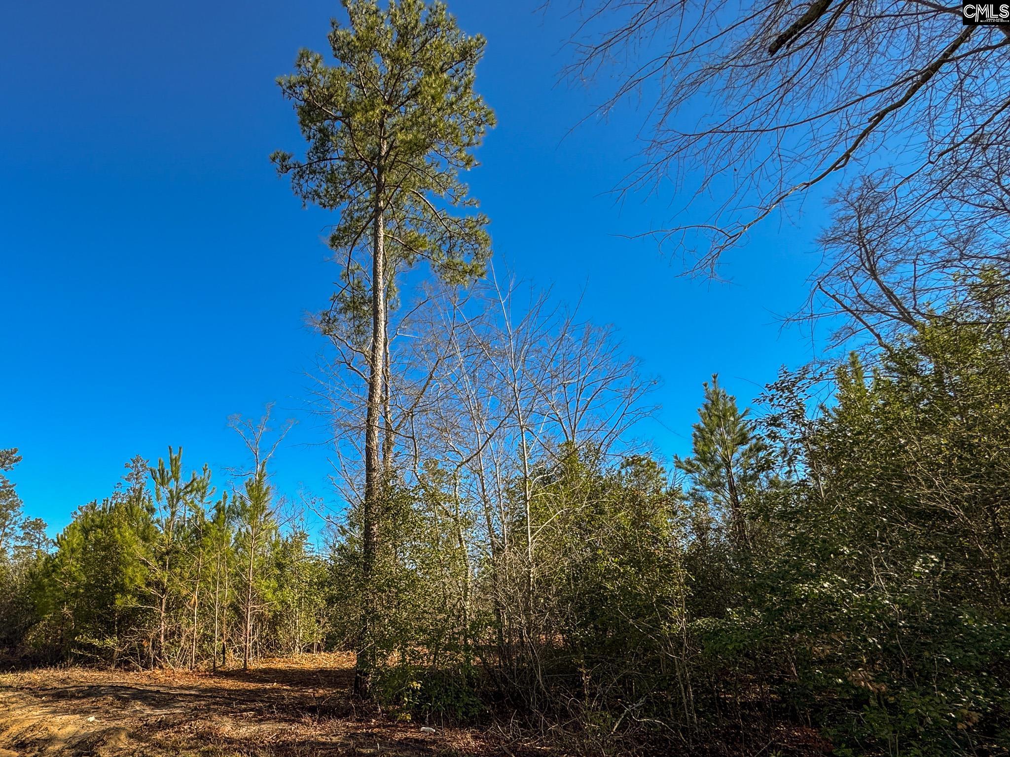 Palomino Road #LOT 4, Leesville, South Carolina image 2