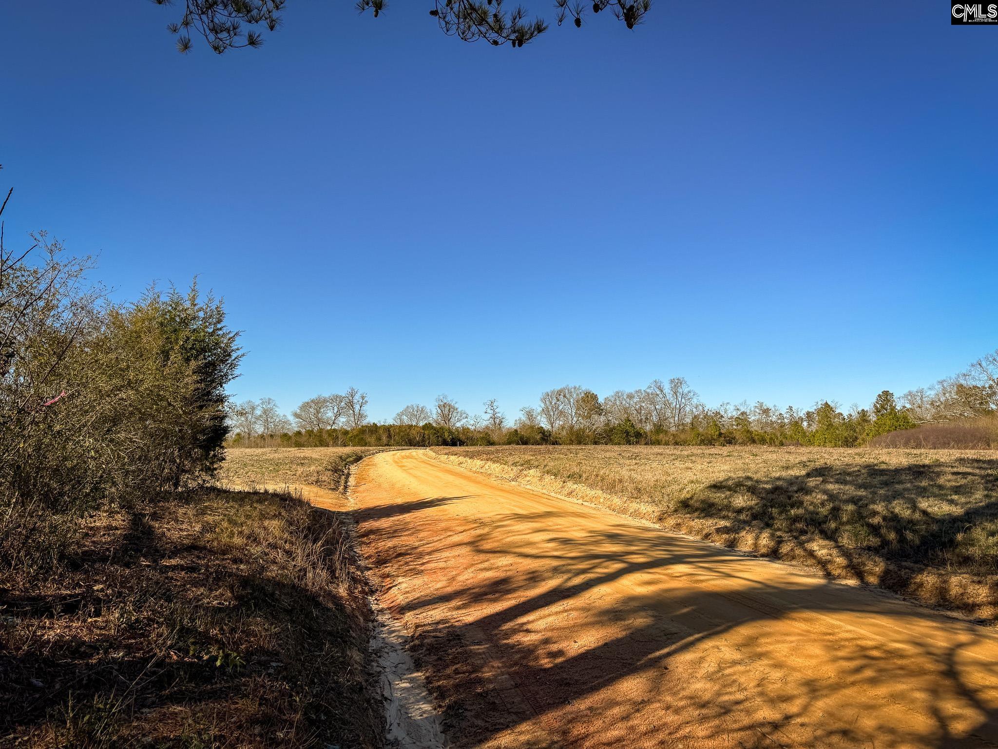 Palomino Road #LOT 4, Leesville, South Carolina image 11