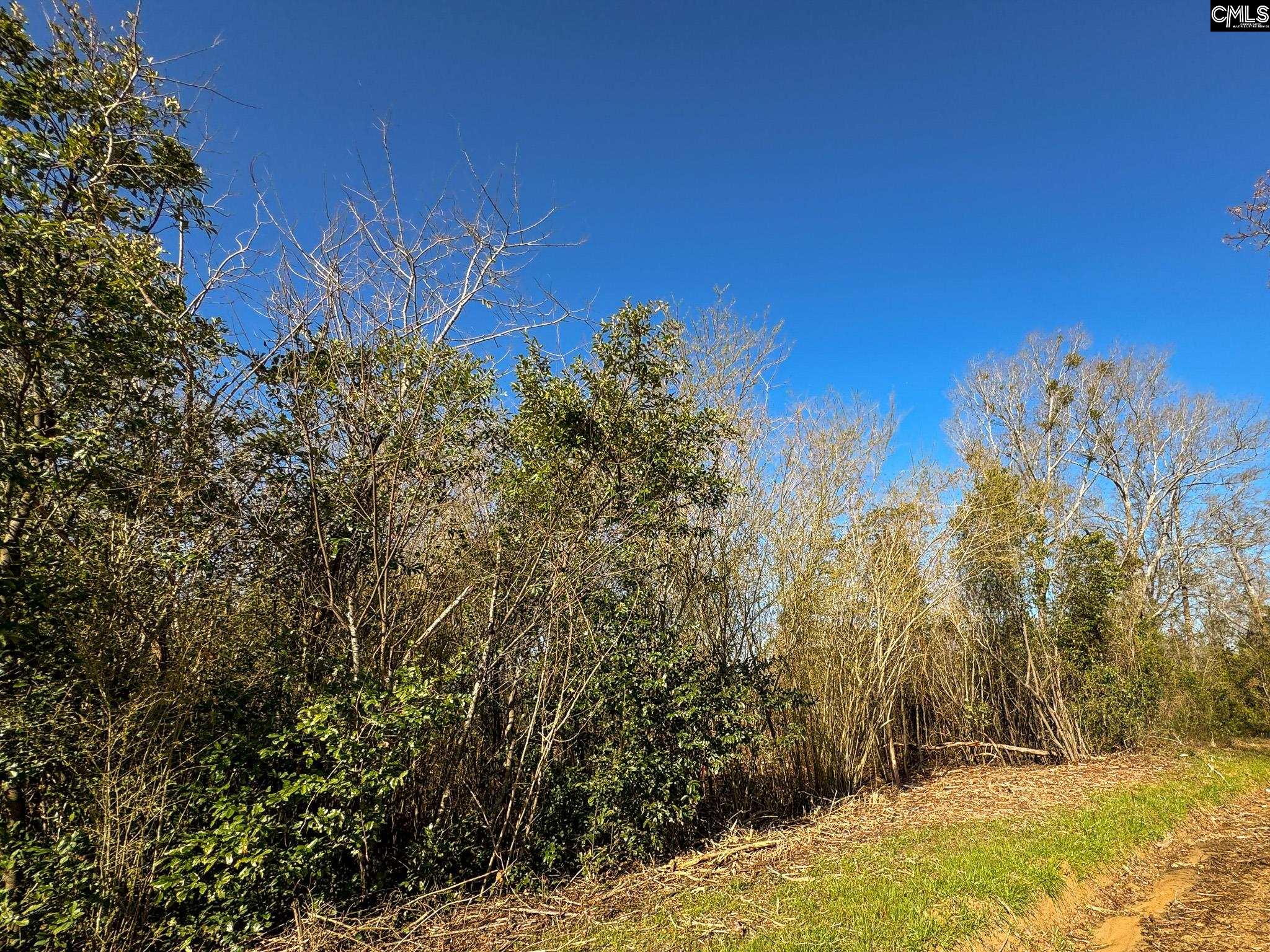 Palomino Road #LOT 6, Leesville, South Carolina image 1