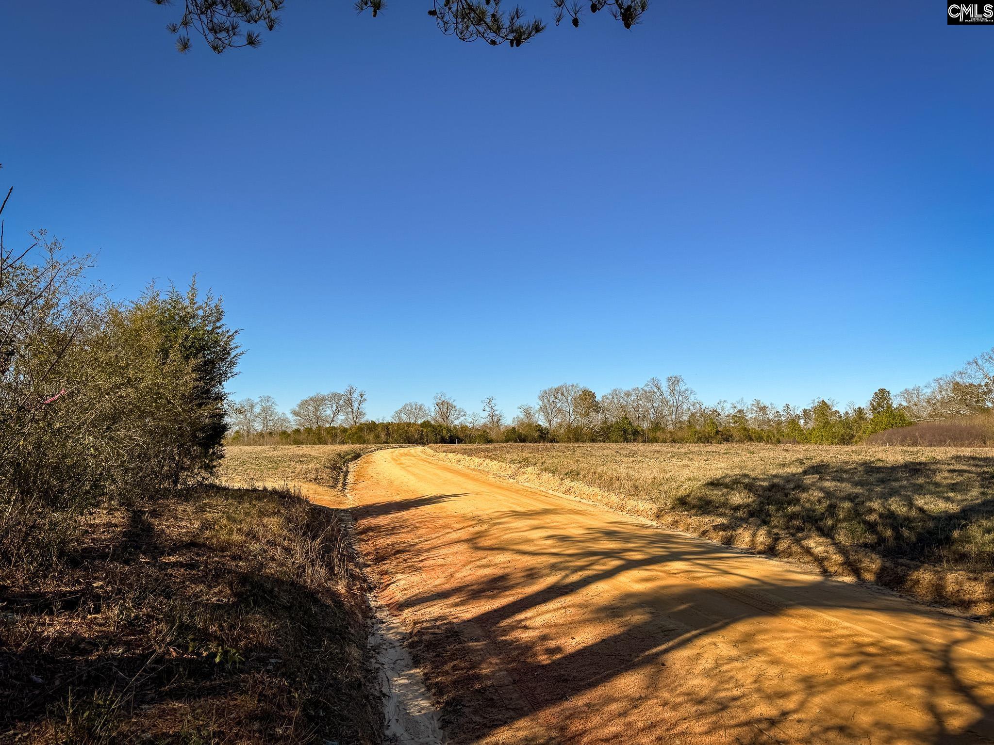 Palomino Road #LOT 7, Leesville, South Carolina image 11