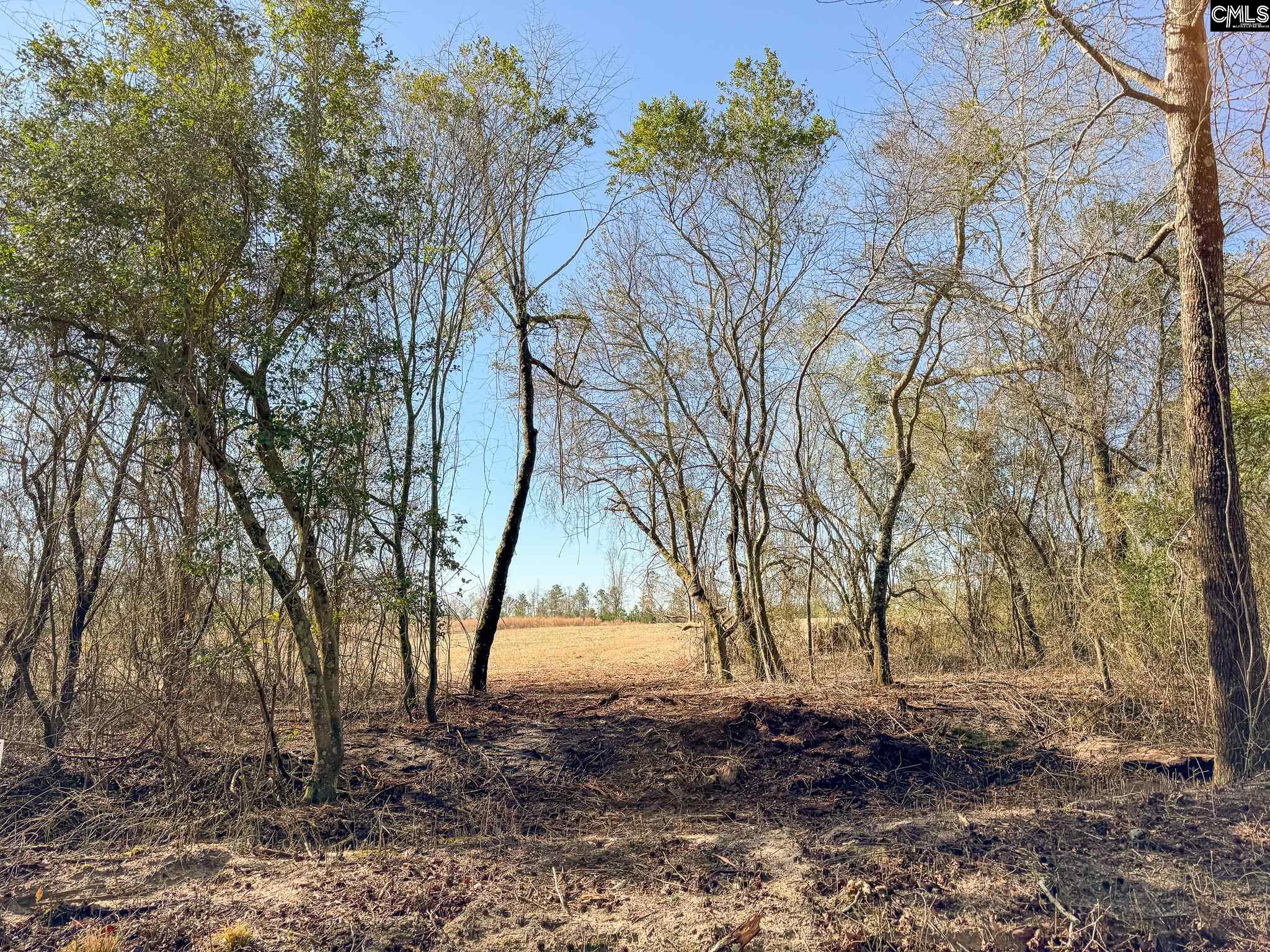 Palomino Road #LOT 11, Leesville, South Carolina image 1