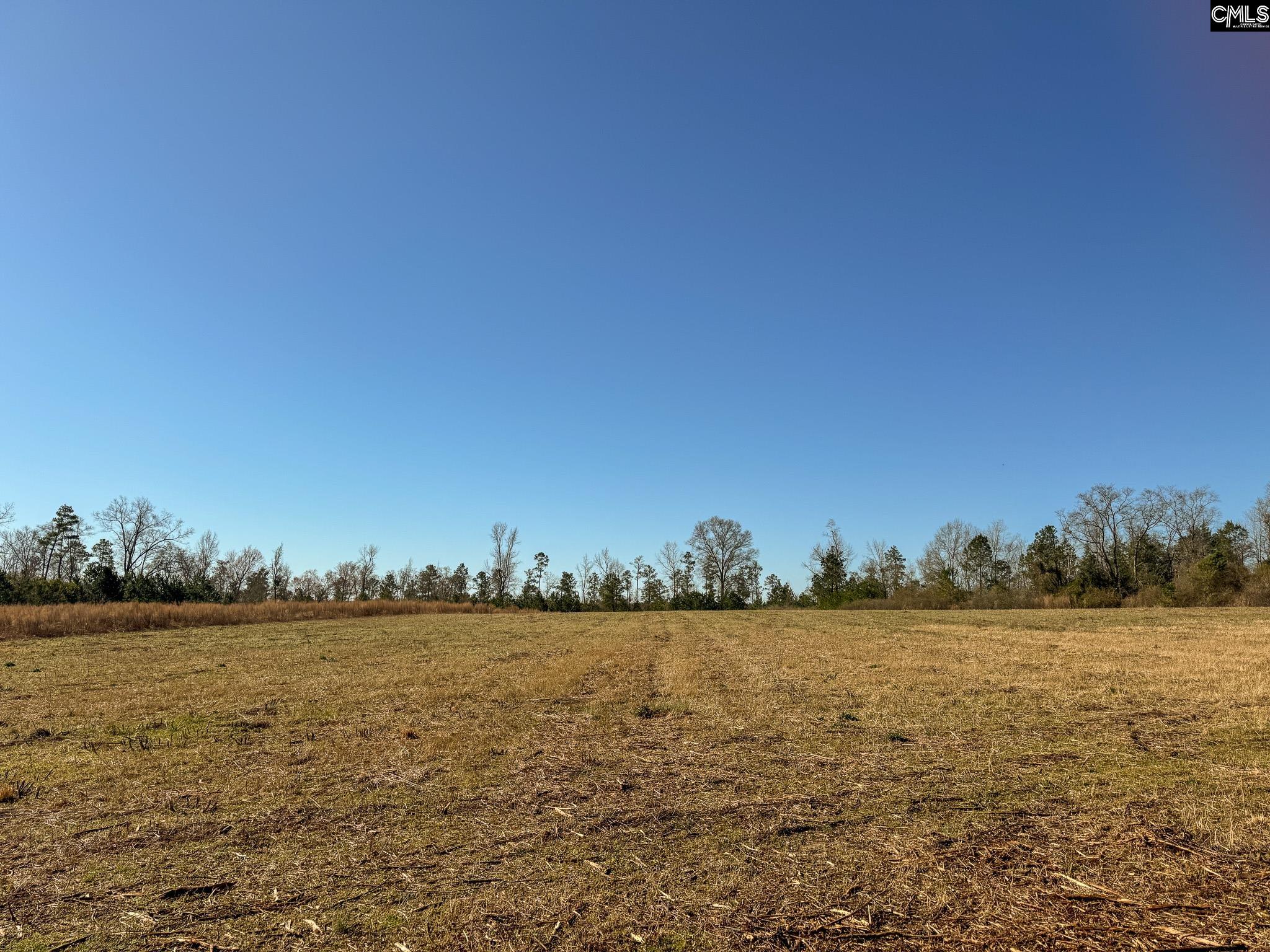 Palomino Road #LOT 11, Leesville, South Carolina image 14