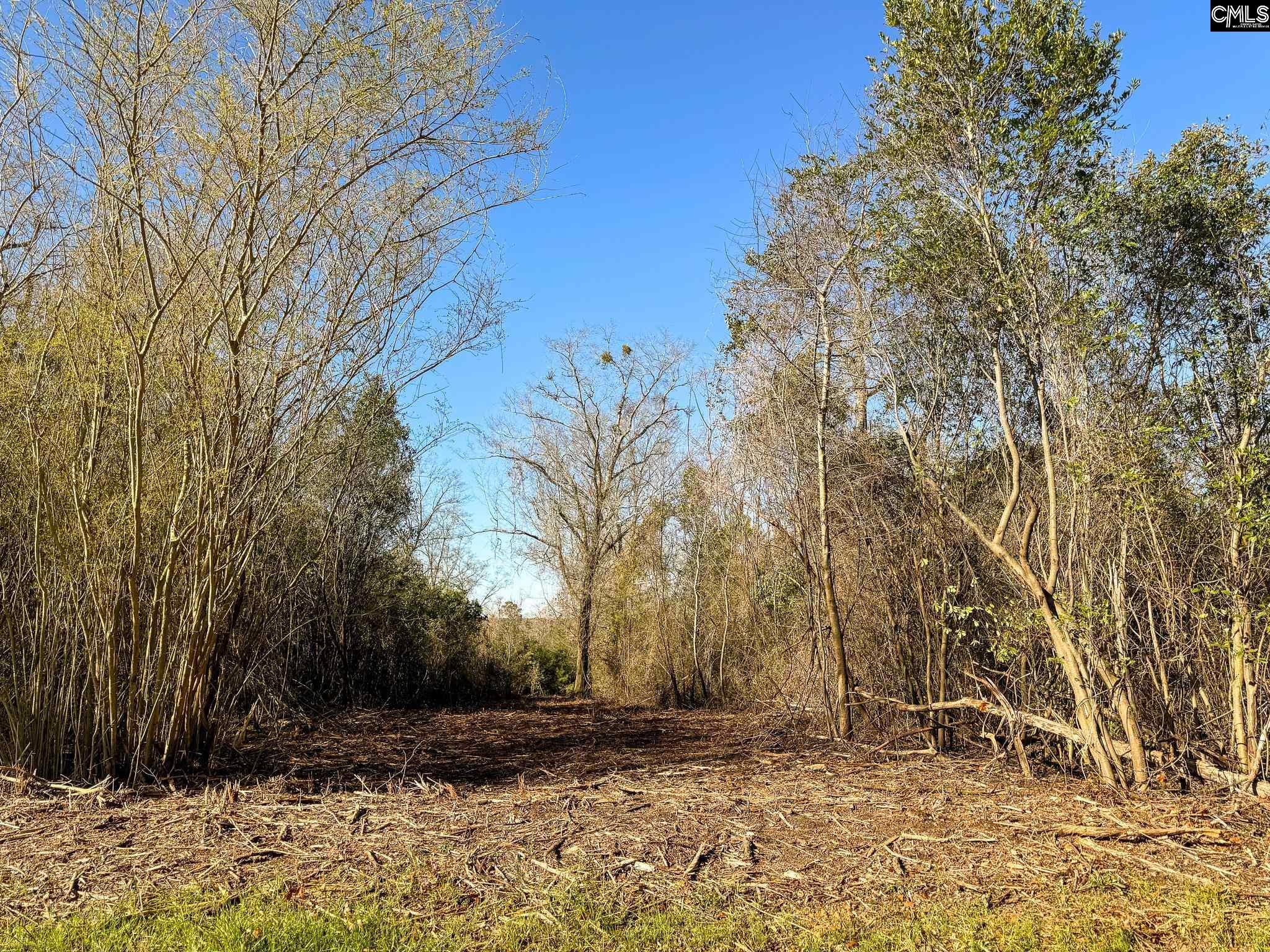 Palomino Road #LOT 15, Leesville, South Carolina image 2