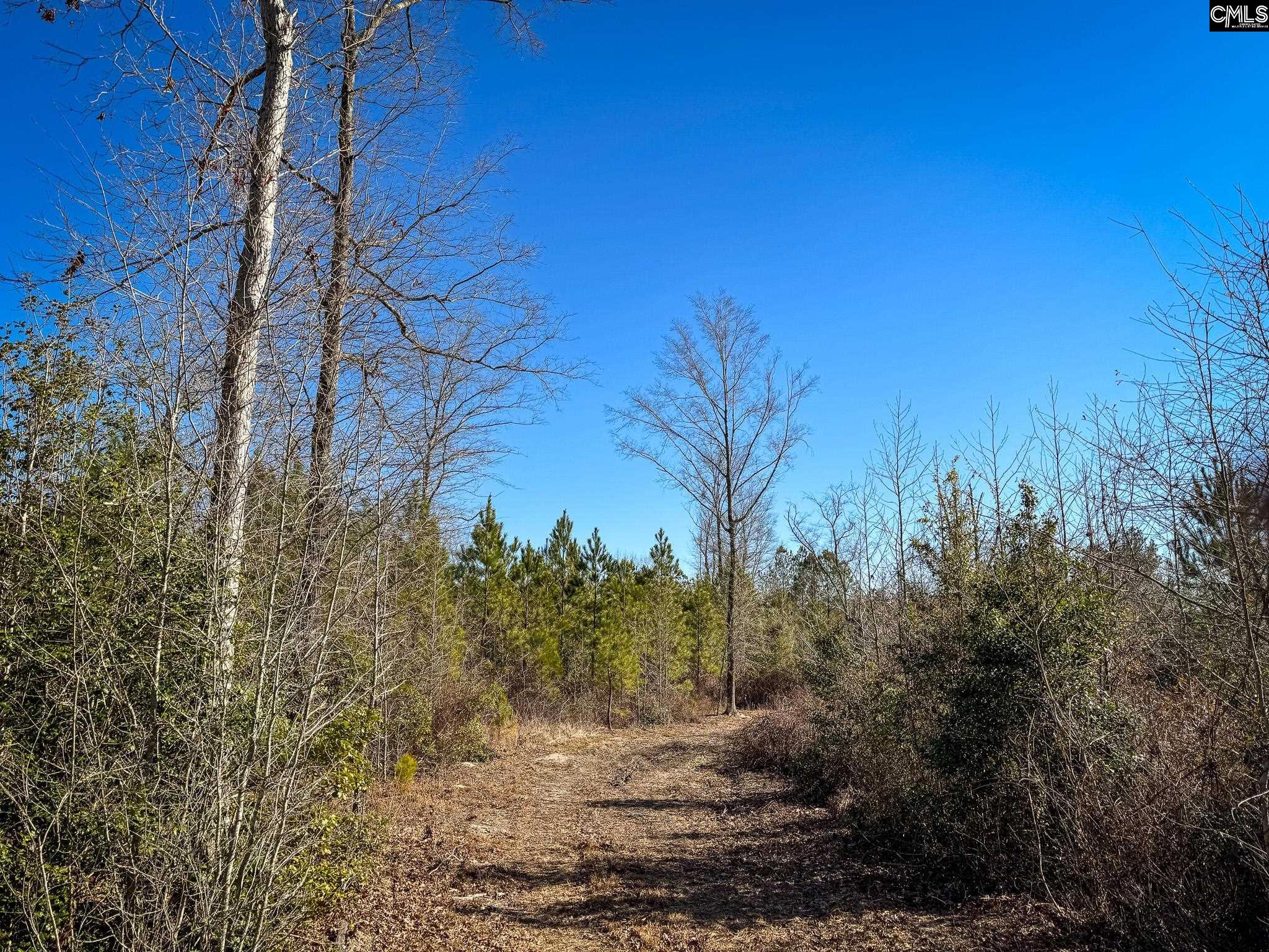 Palomino Road #LOT 16, Leesville, South Carolina image 4