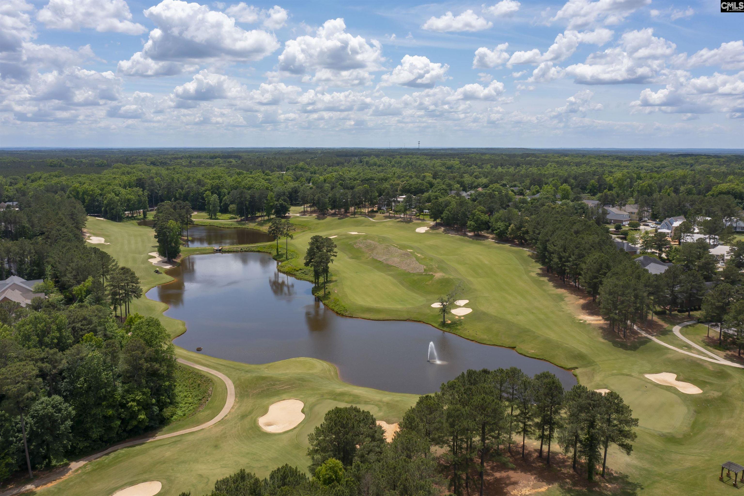 849 Leyland Cypress Court Blythewood, SC 29016