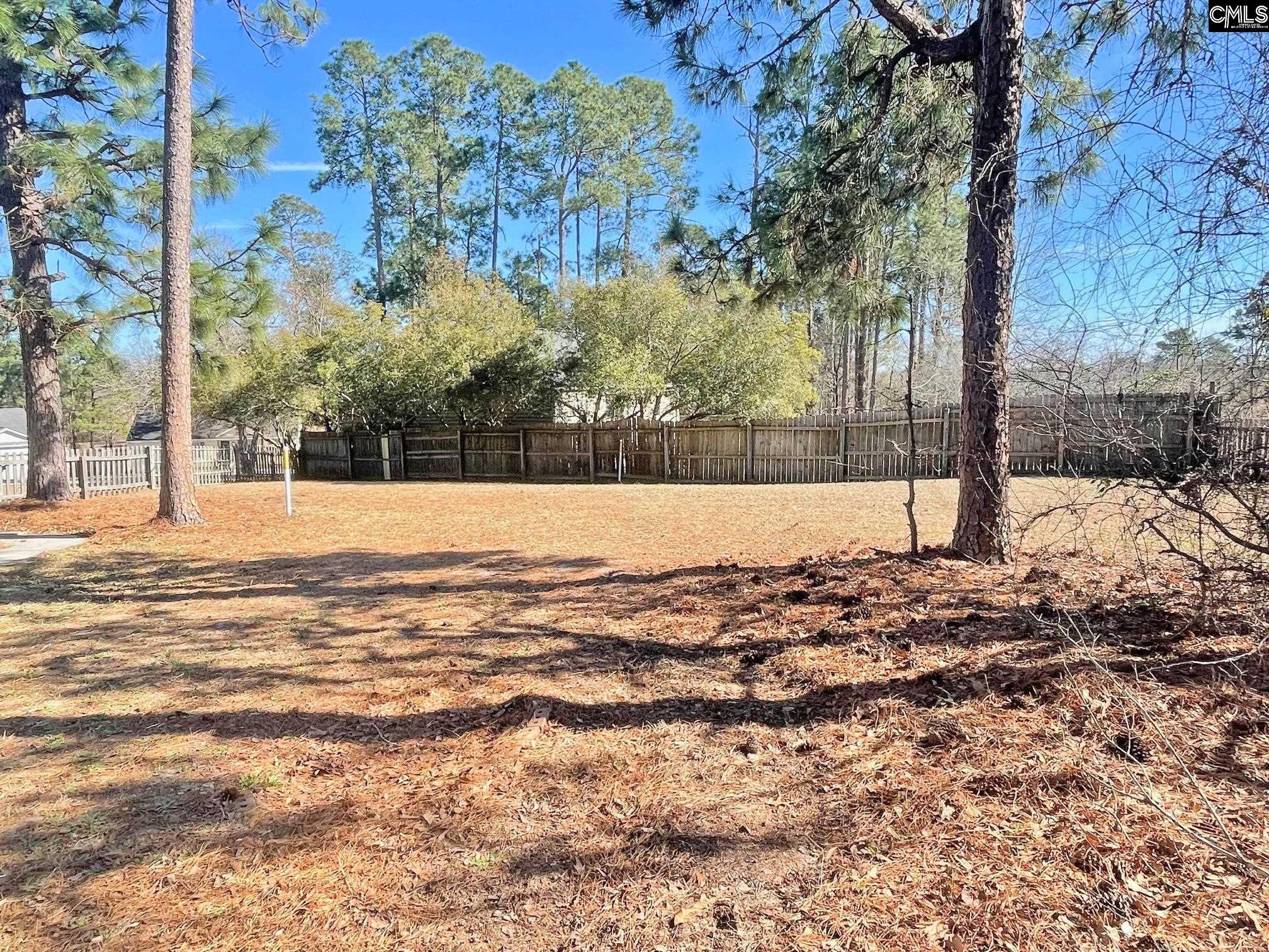 1004 Camp Creek Court, Elgin, South Carolina image 11