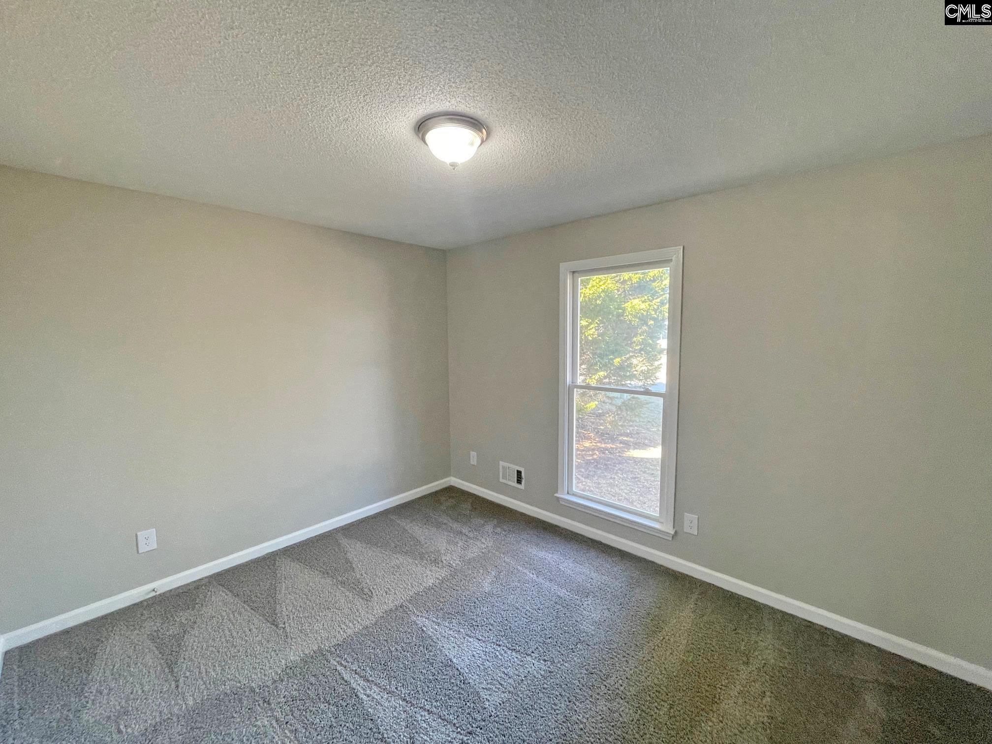 1004 Camp Creek Court, Elgin, South Carolina image 10