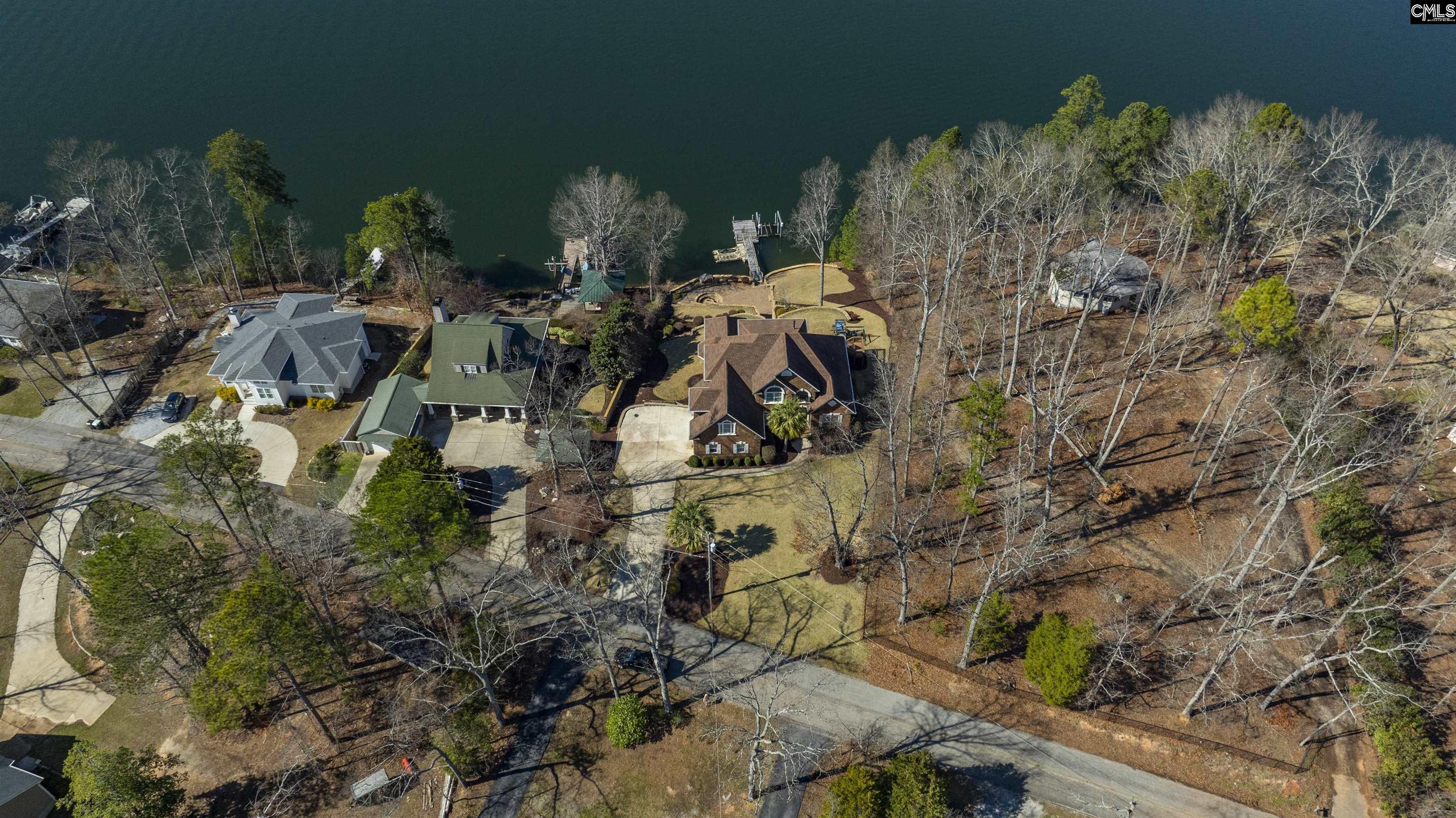 1230 Putnam Drive, Chapin, South Carolina image 2