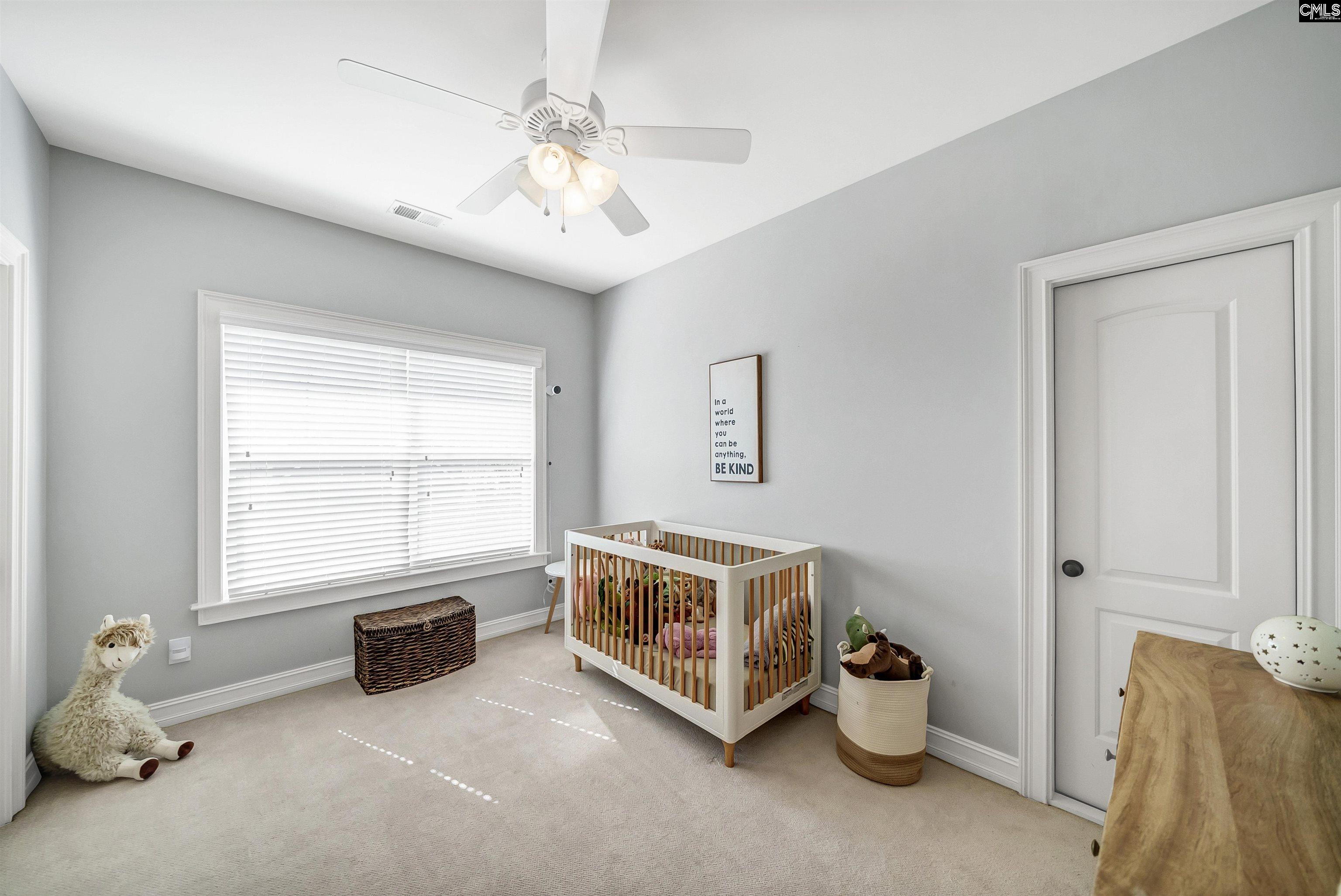 1230 Putnam Drive, Chapin, South Carolina image 24