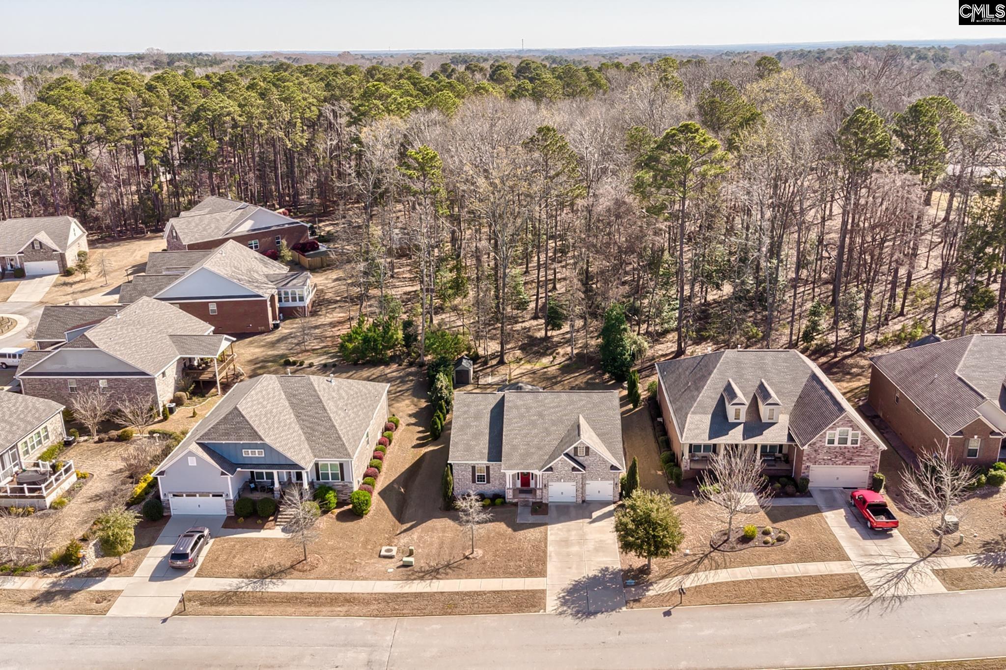 126 Regatta Forest Drive, Columbia, South Carolina image 6