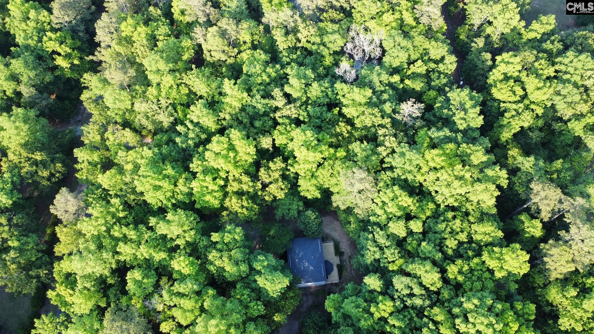 First Image