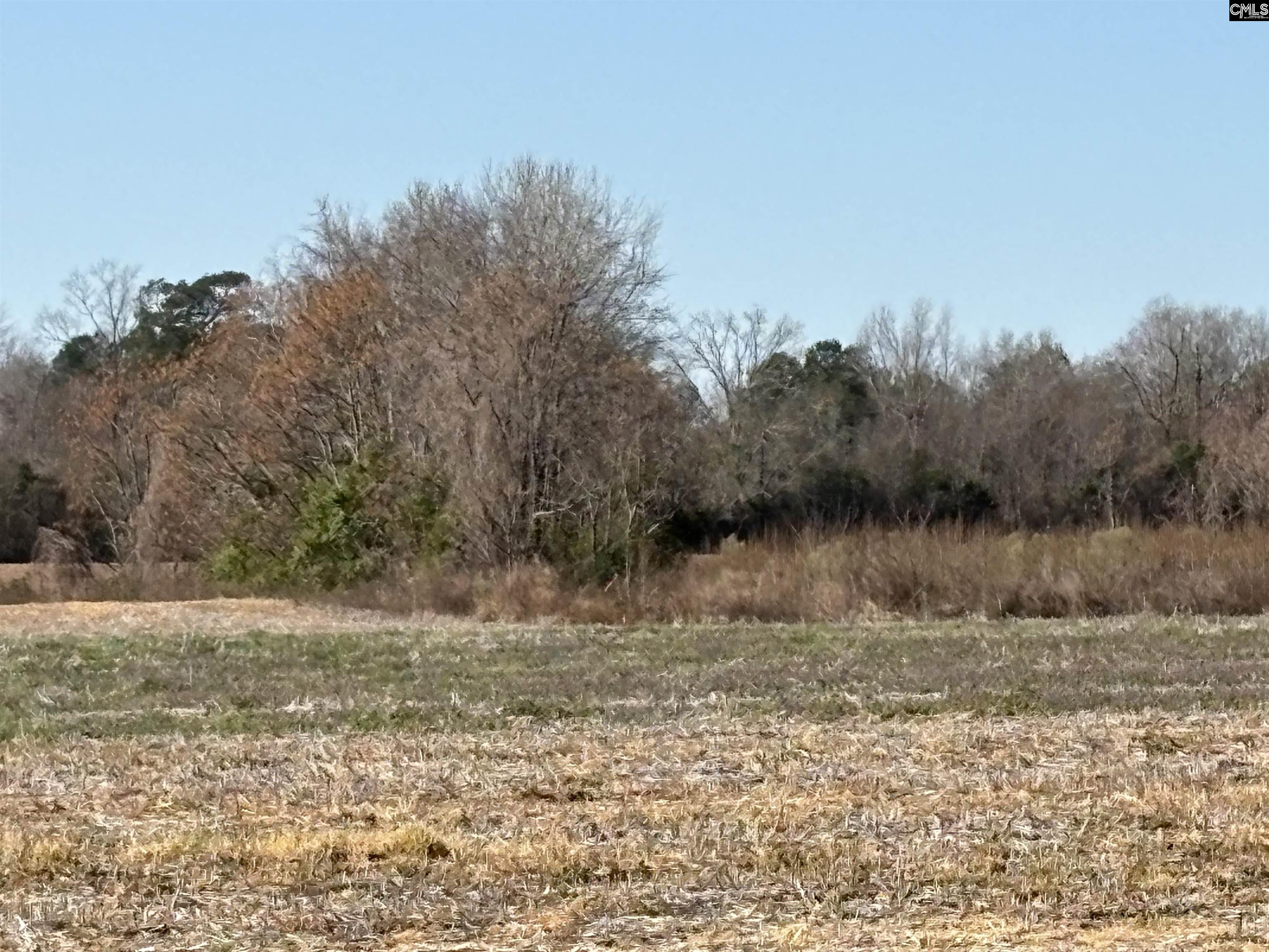 Leader Road Bishopville, SC 29010