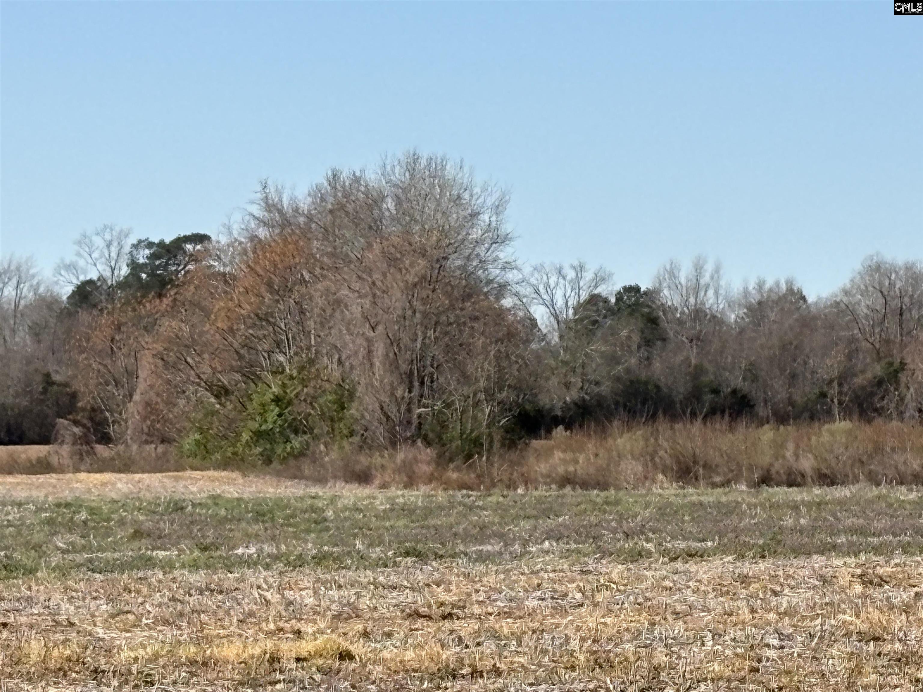 Leader Road, Bishopville, South Carolina image 2