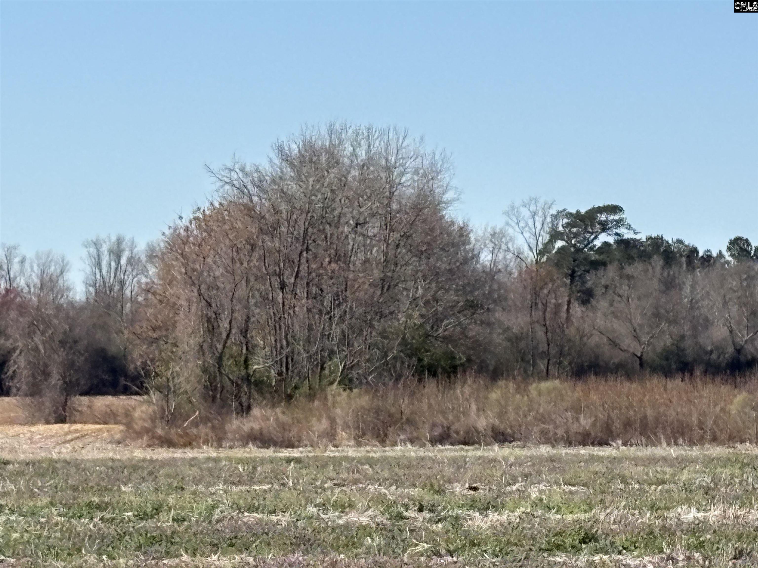Leader Road, Bishopville, South Carolina image 3