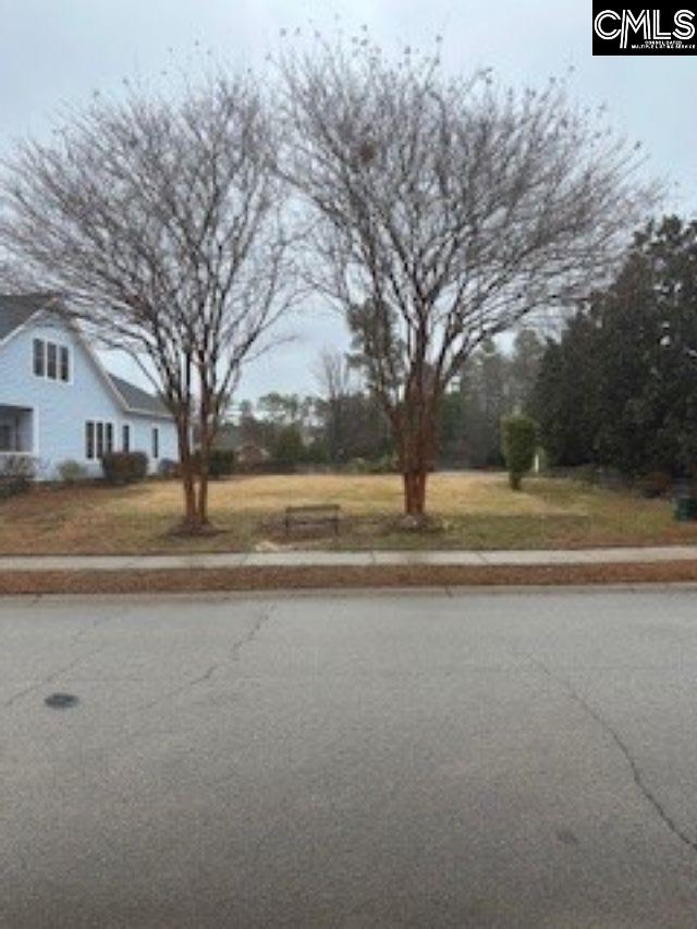 104 Garden Gate Way UNIT 39 39A 39B Lexington, SC 29072-7048