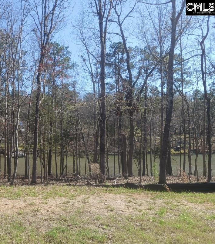 1061 Refuge Place UNIT #30 Chapin, SC 29036