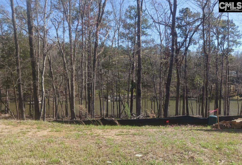 1061 Refuge Place UNIT #30 Chapin, SC 29036