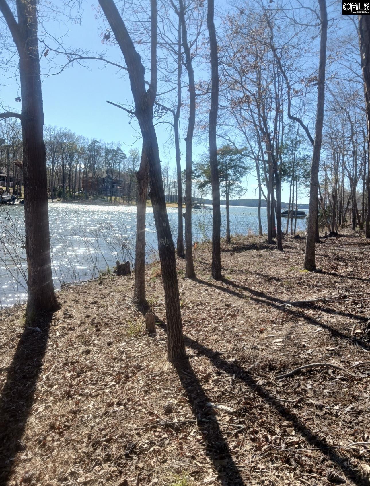 1061 Refuge Place UNIT #30 Chapin, SC 29036
