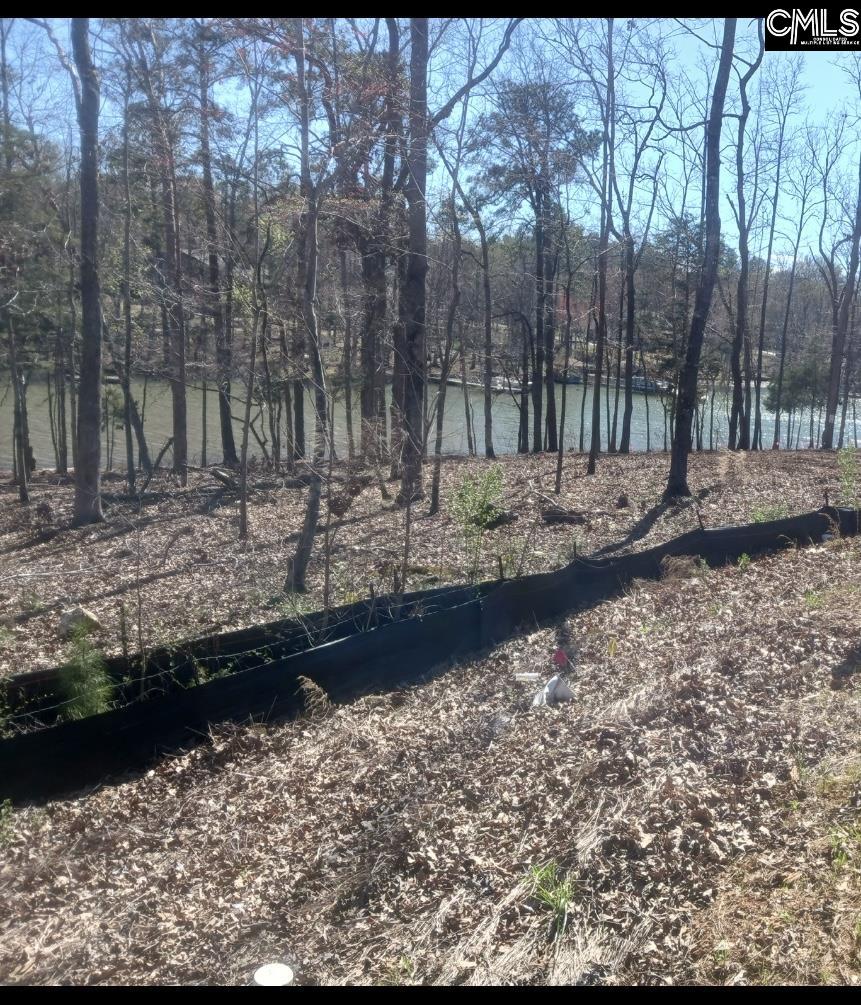 1061 Refuge Place UNIT #30 Chapin, SC 29036