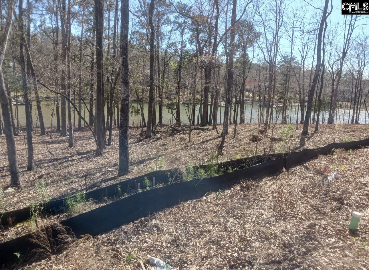 1061 Refuge Place UNIT #30 Chapin, SC 29036