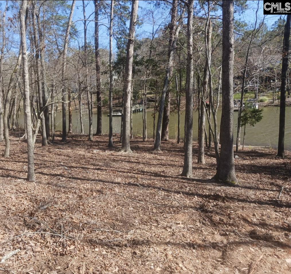 1061 Refuge Place UNIT #30 Chapin, SC 29036