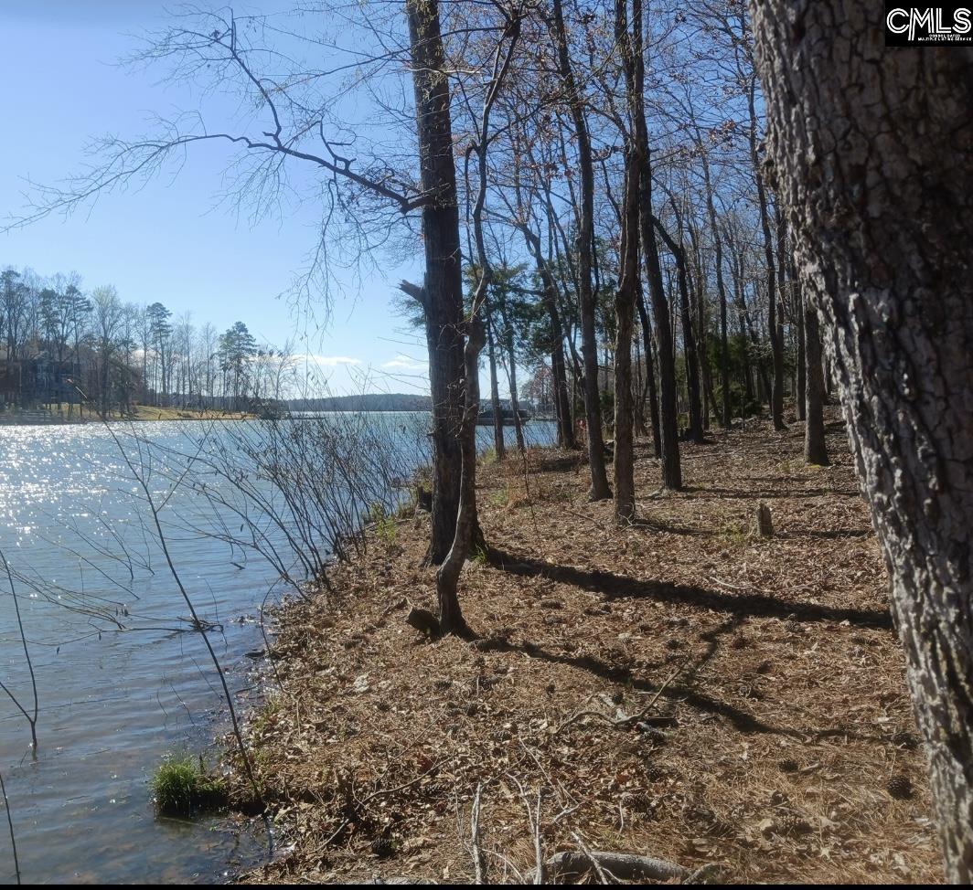 1061 Refuge Place UNIT #30 Chapin, SC 29036