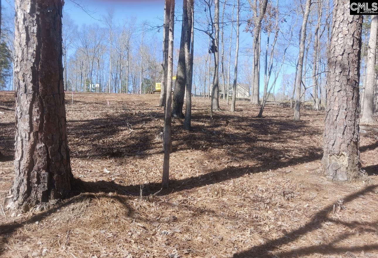 1061 Refuge Place UNIT #30 Chapin, SC 29036