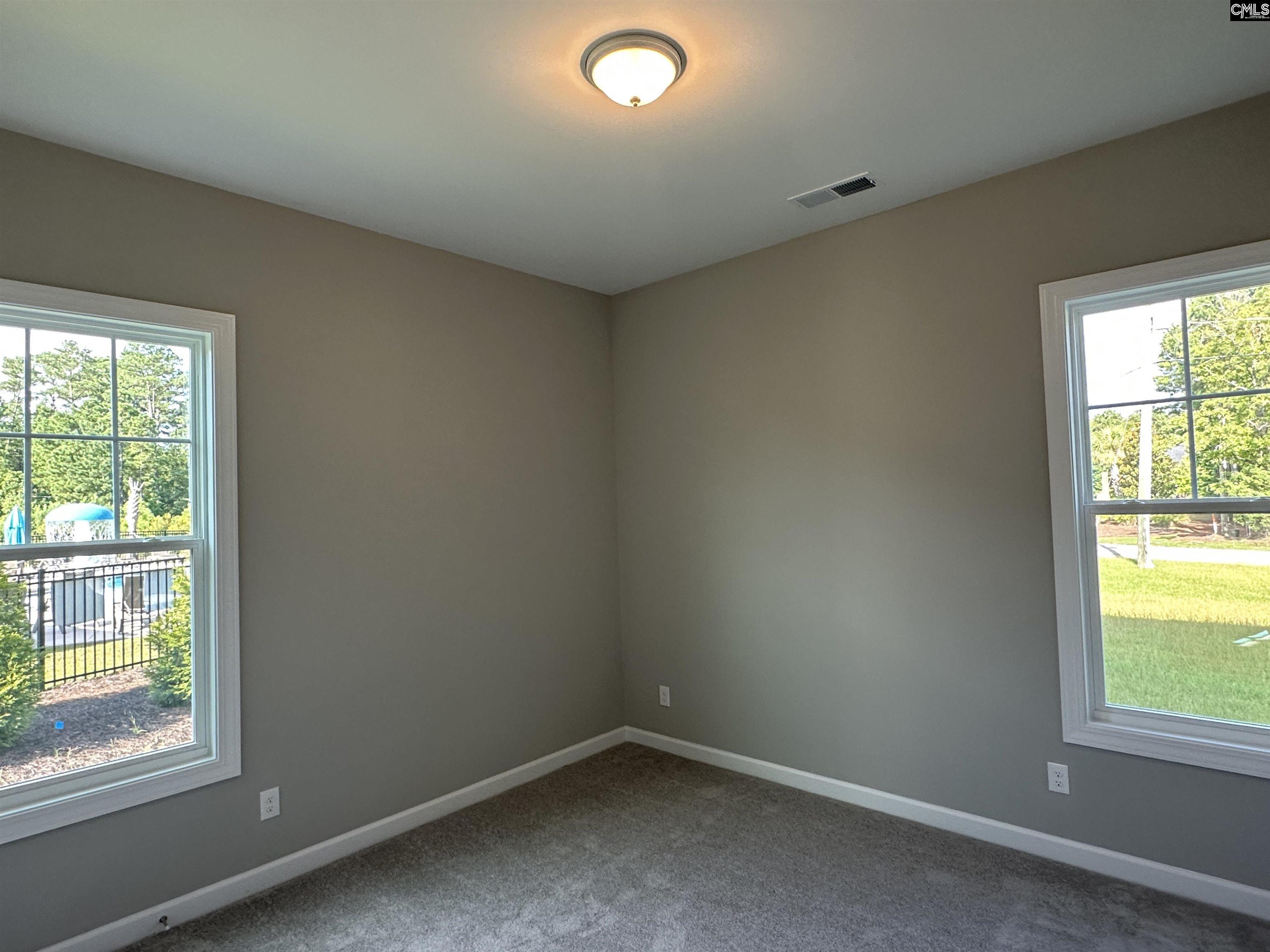 2360 Hadley Crossing Chapin, SC 29036