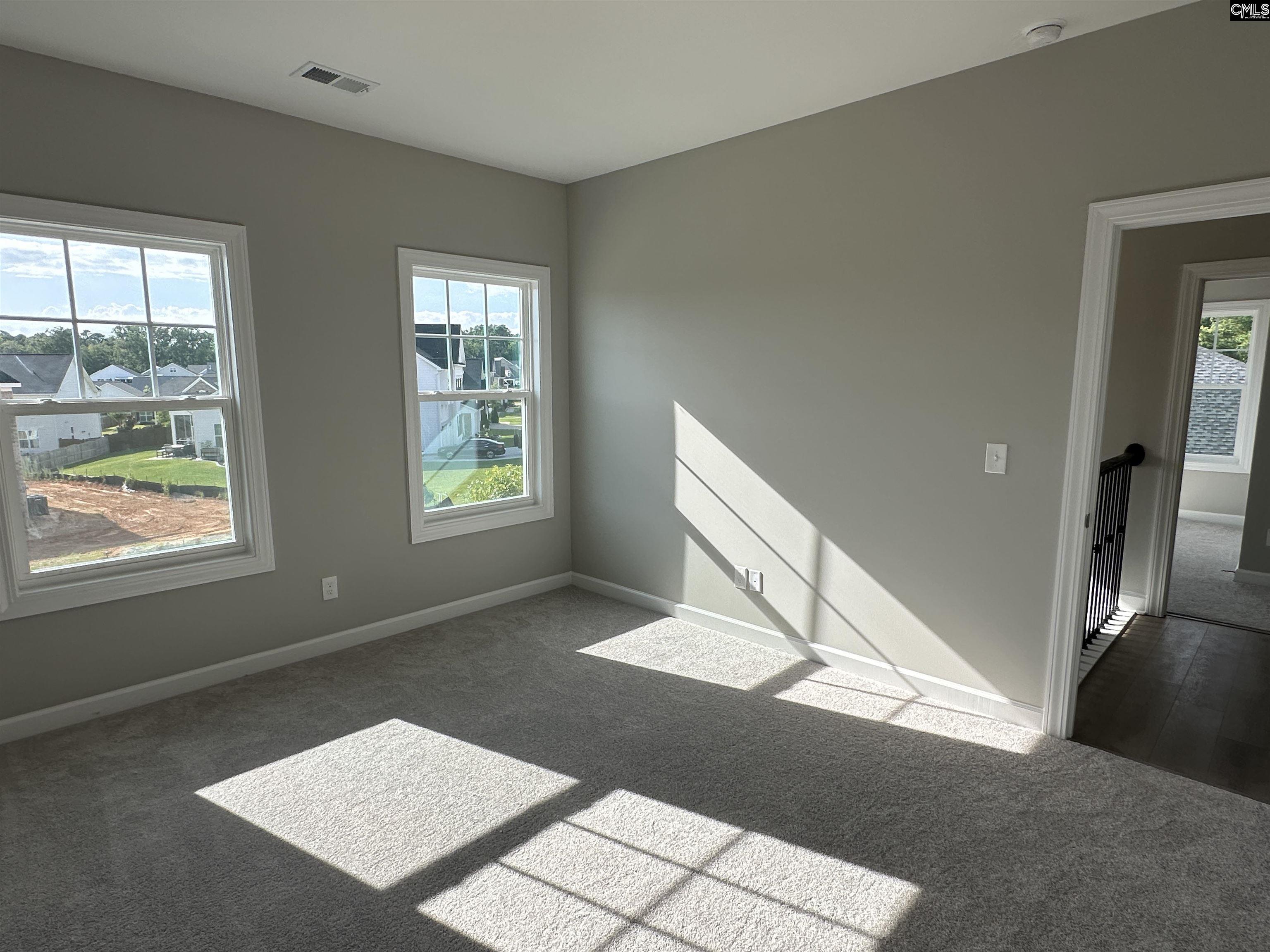 2360 Hadley Crossing Chapin, SC 29036