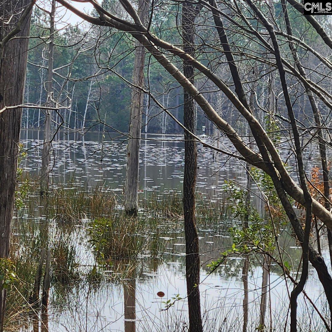 ES Hinnant Store Road Winnsboro, SC 29180