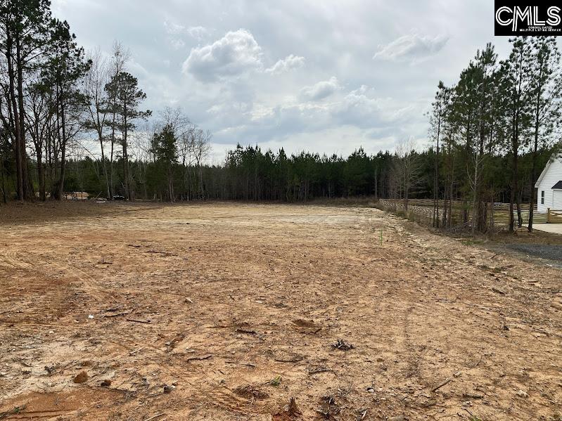 1615 Loner Road UNIT #1 Blythewood, SC 29016