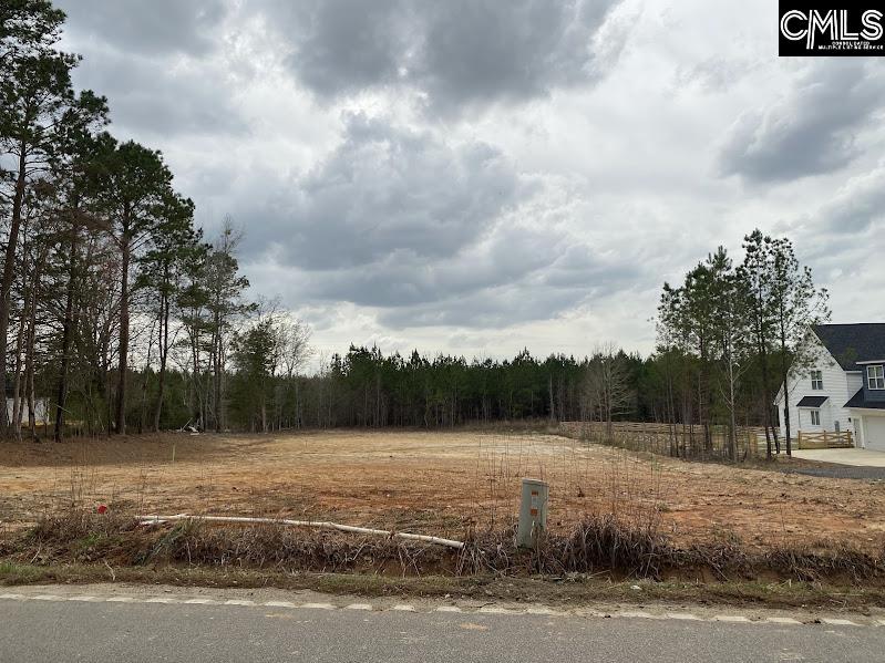 1615 Loner Road UNIT #1 Blythewood, SC 29016