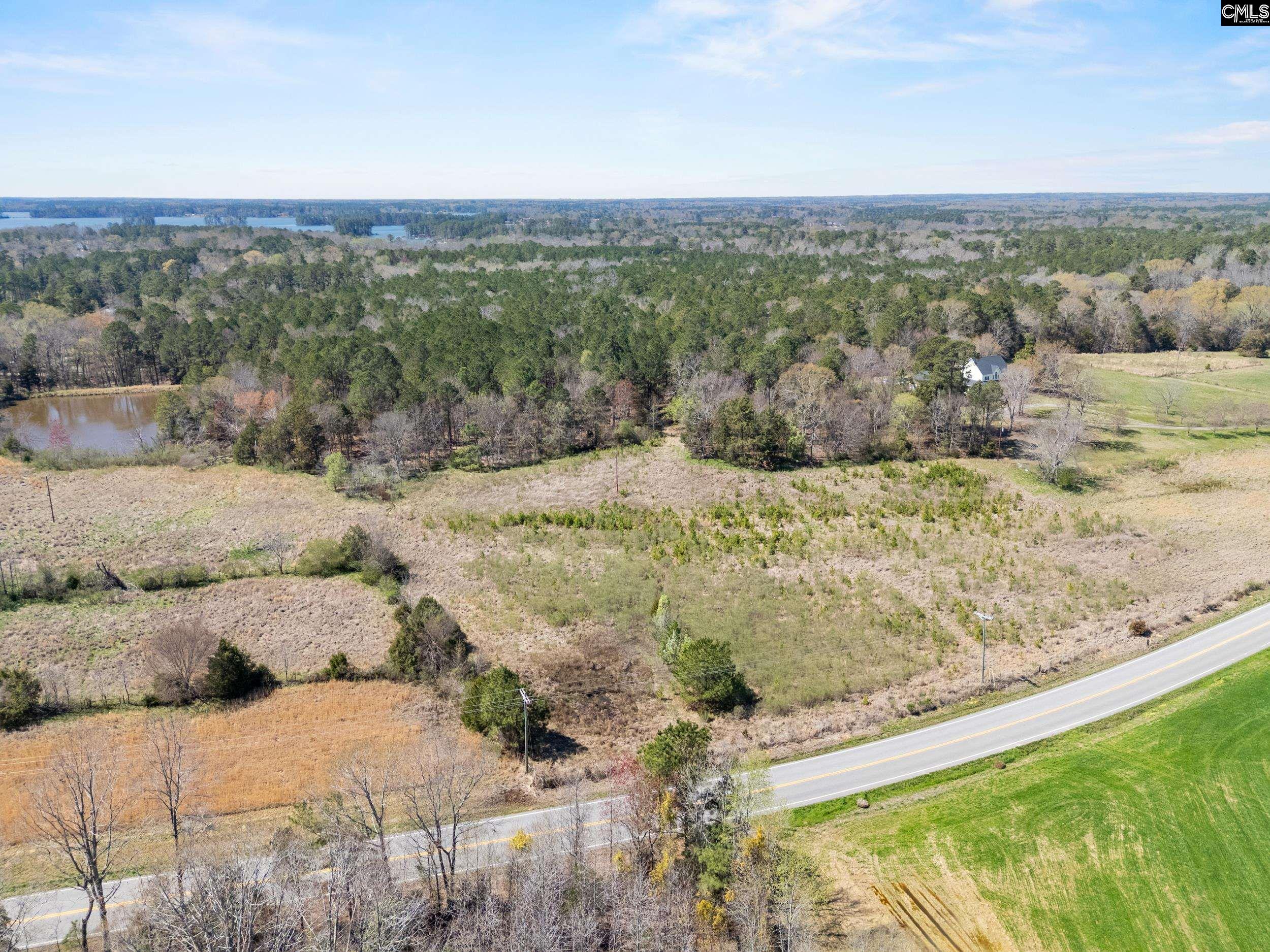 Amicks Ferry UNIT Parcel #1 Chapin, SC 29036