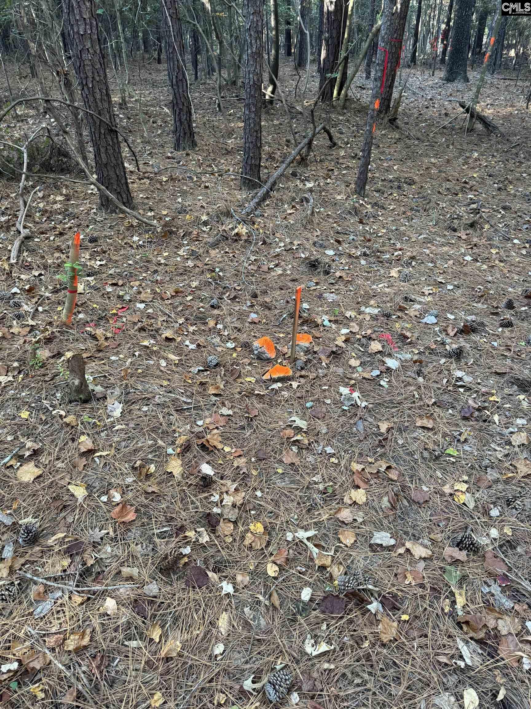 Amicks Ferry UNIT Parcel #1 Chapin, SC 29036