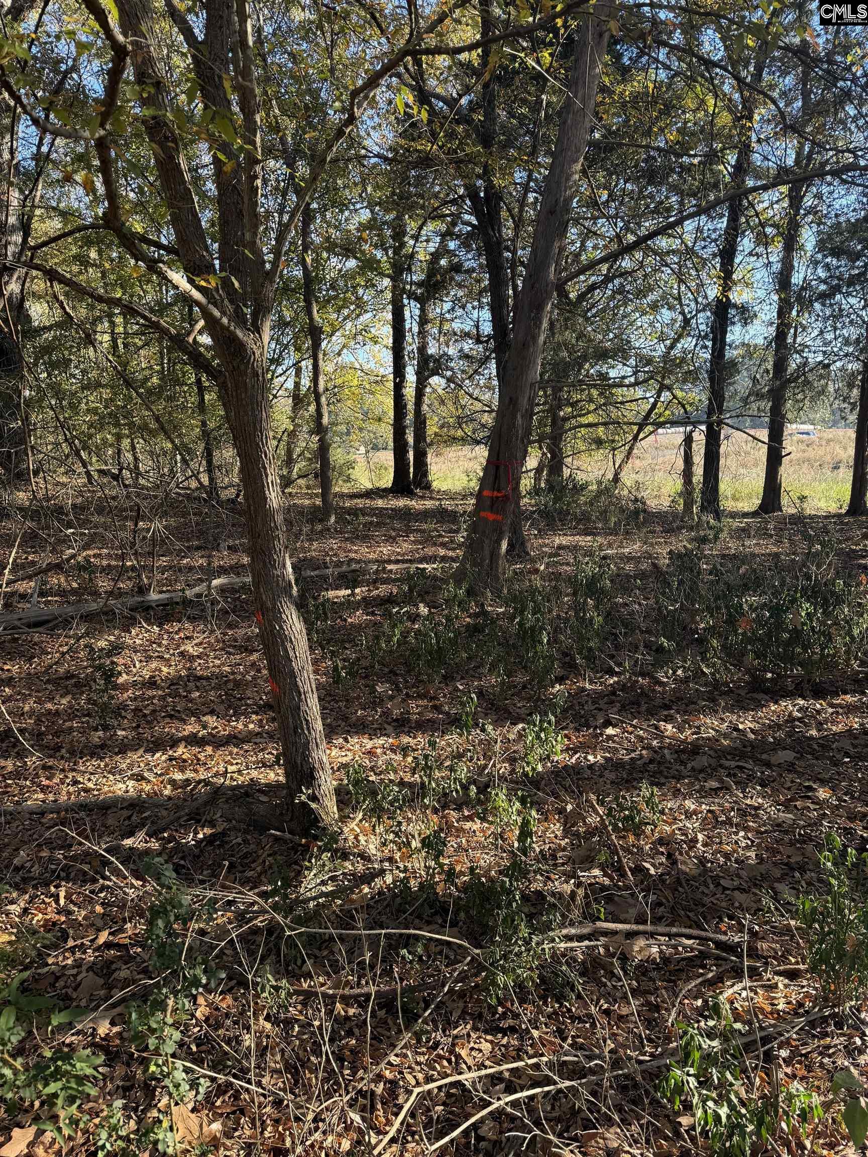 Amicks Ferry UNIT Parcel #1 Chapin, SC 29036