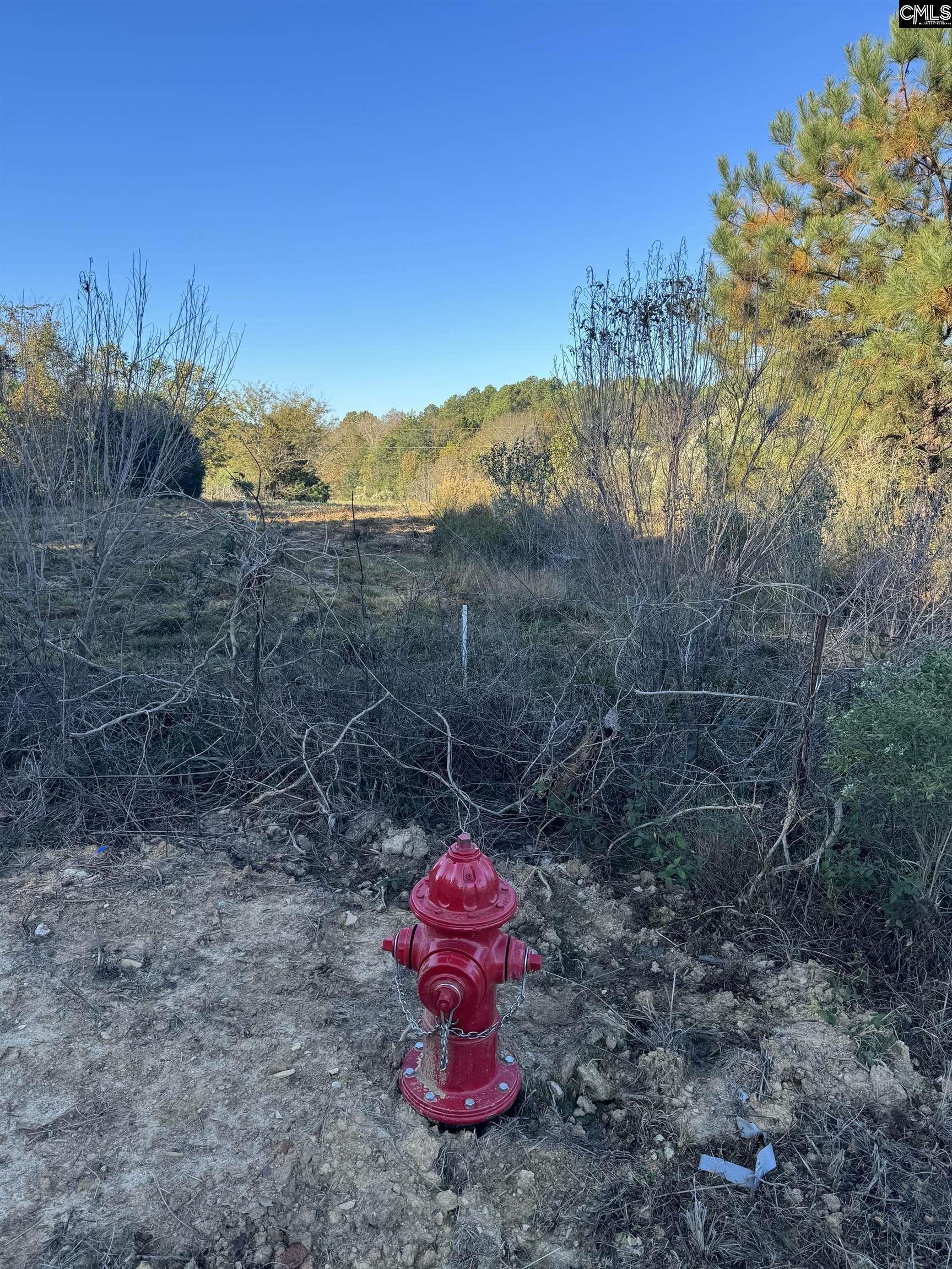 Amicks Ferry UNIT Parcel #1 Chapin, SC 29036