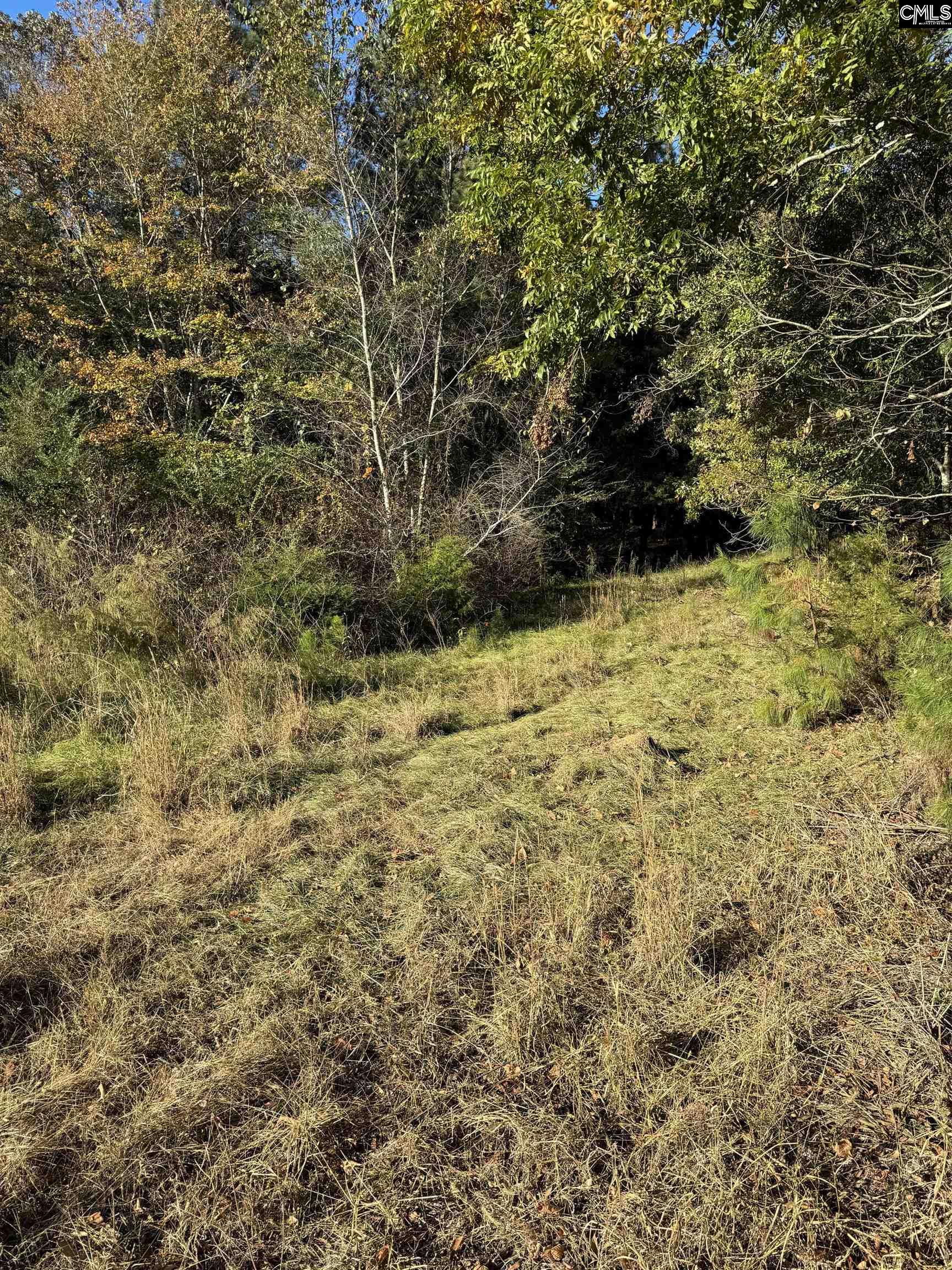 Amicks Ferry UNIT Parcel #1 Chapin, SC 29036