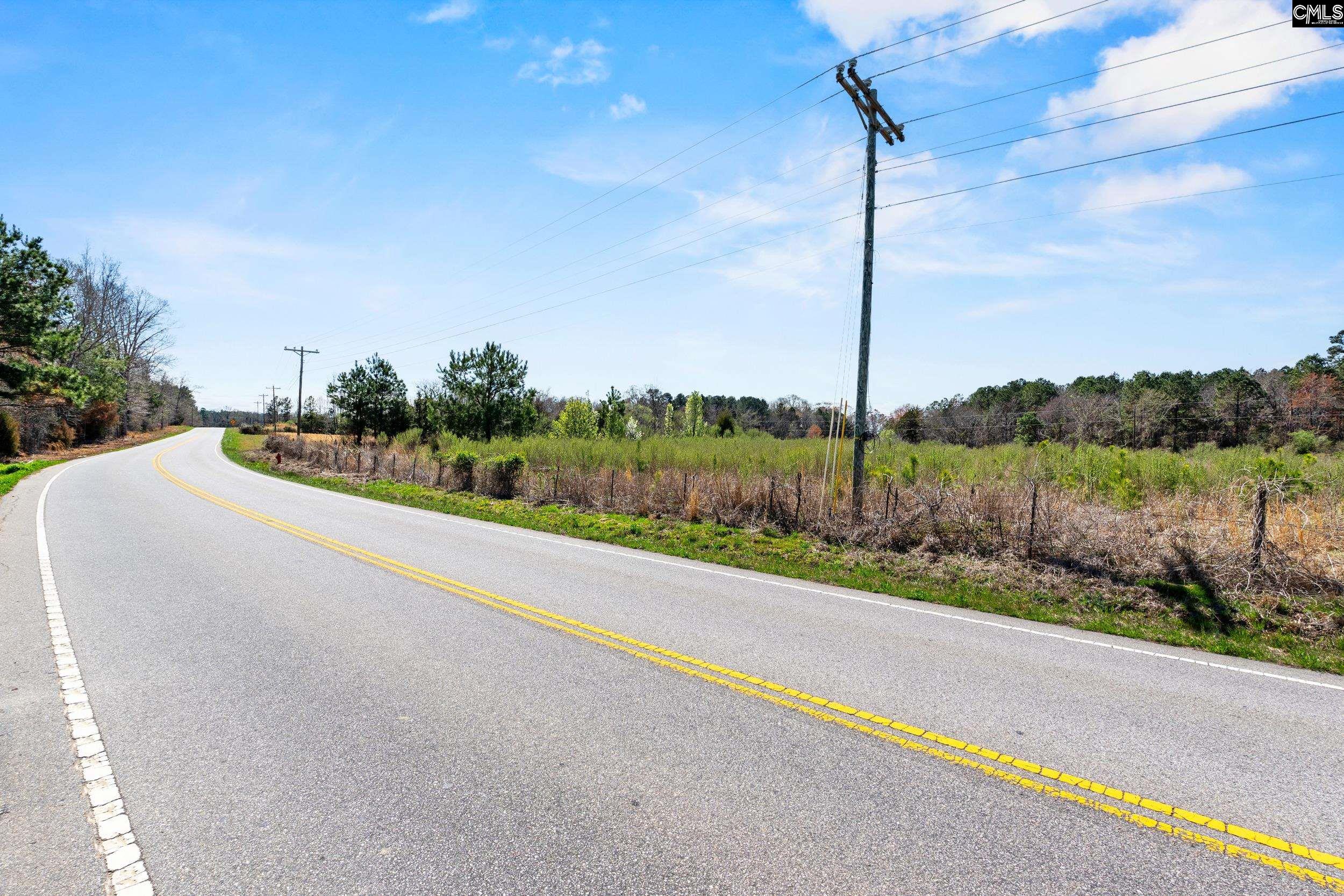 Amicks Ferry UNIT Parcel #1 Chapin, SC 29036