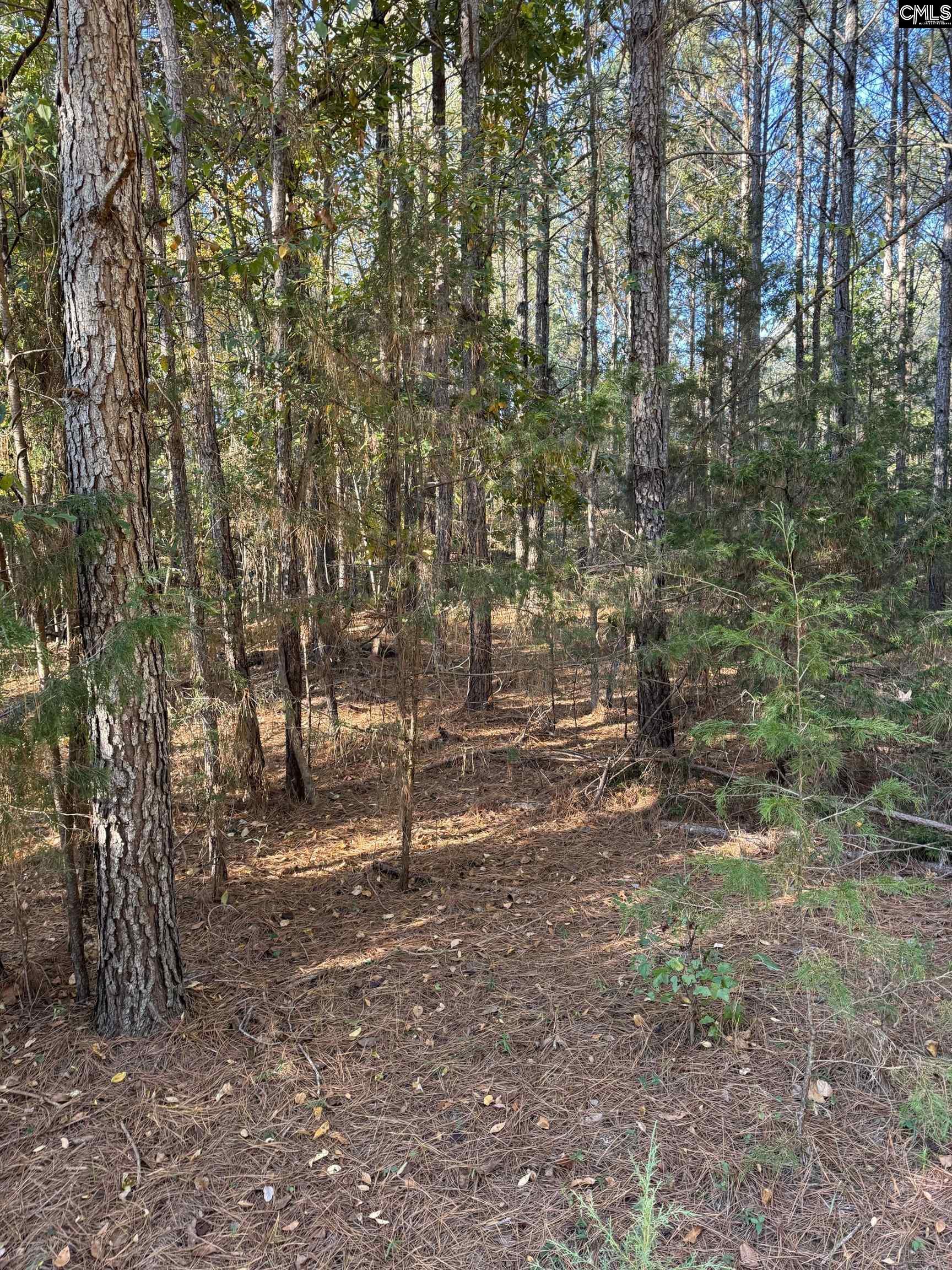 Amicks Ferry UNIT Parcel #1 Chapin, SC 29036