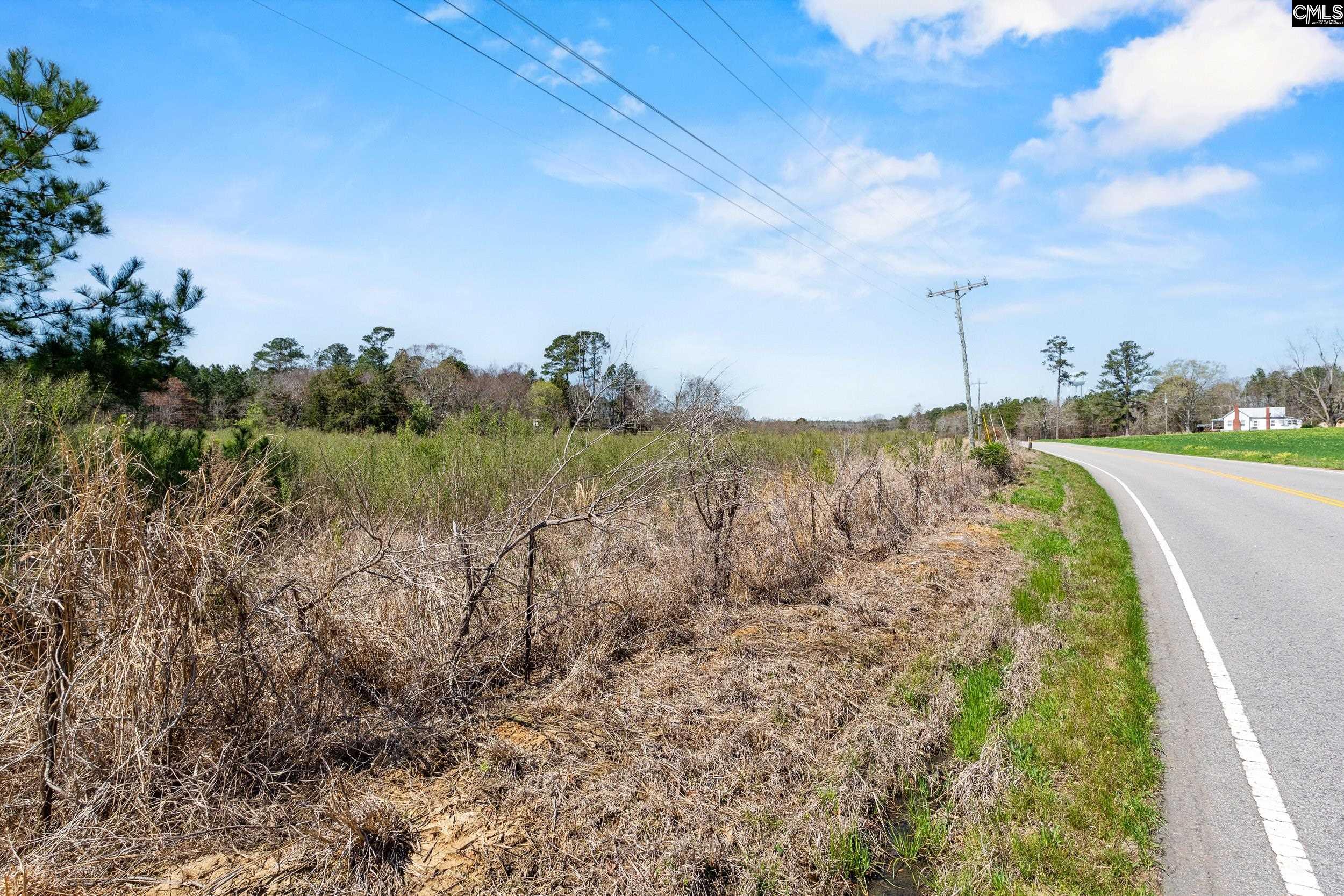 Amicks Ferry UNIT Parcel #1 Chapin, SC 29036