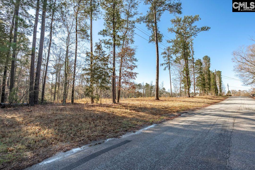 Bogater Road UNIT 57-61 Chapin, SC 29036
